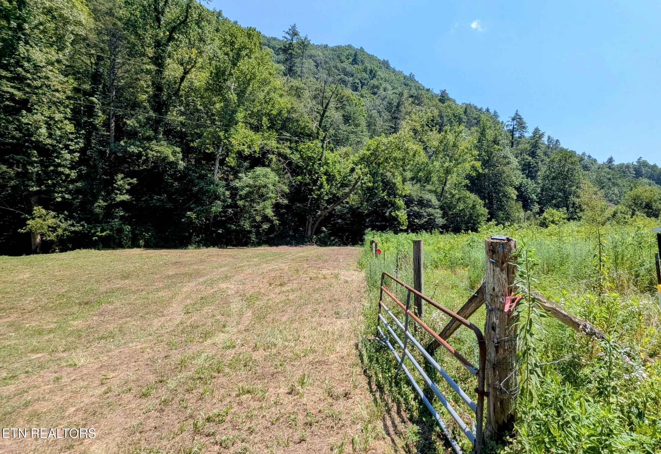 Carrs Creek 14 Acres Road Townsend TN 37882