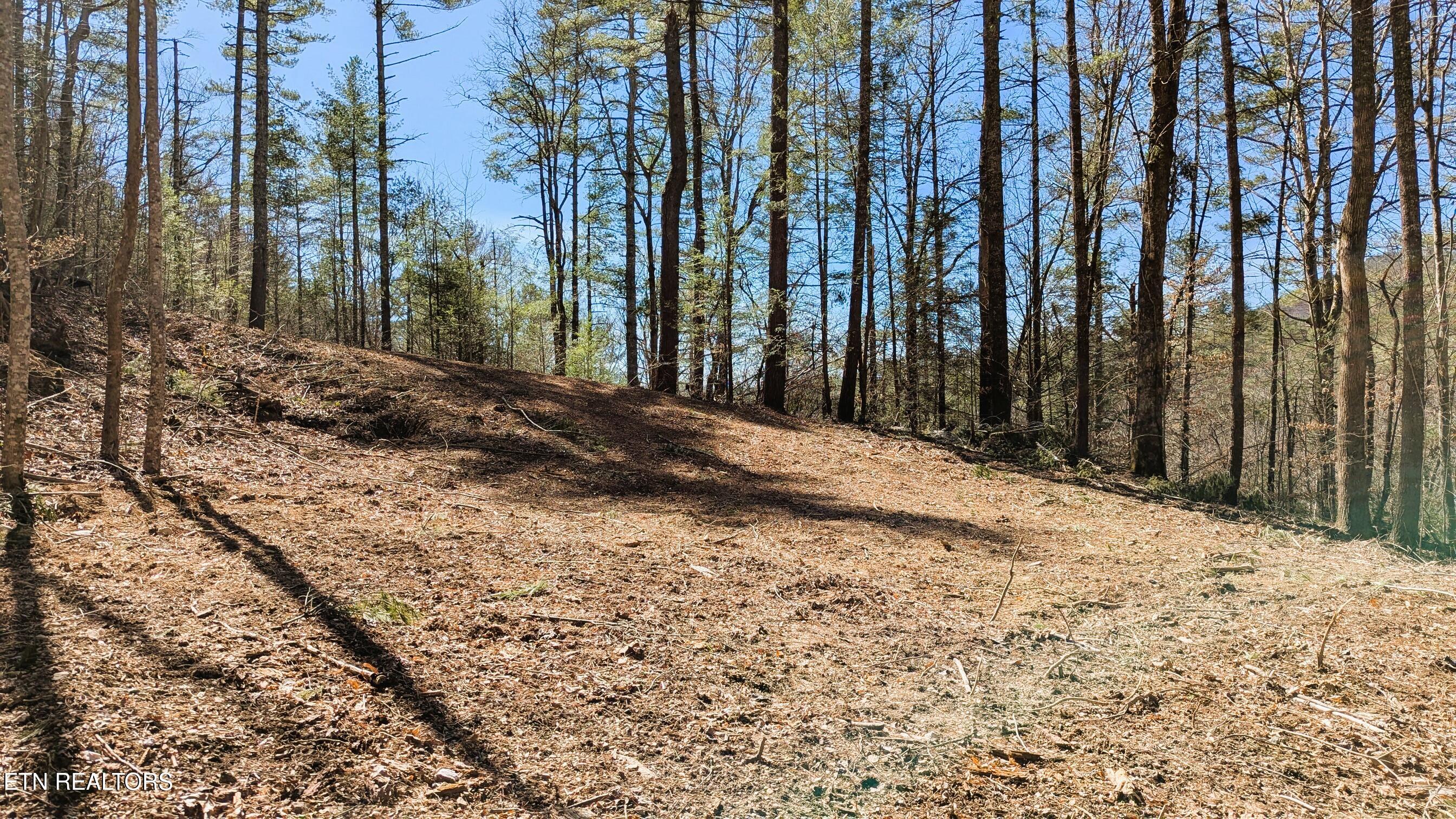 Carrs Creek 14 Acres Road Townsend TN 37882