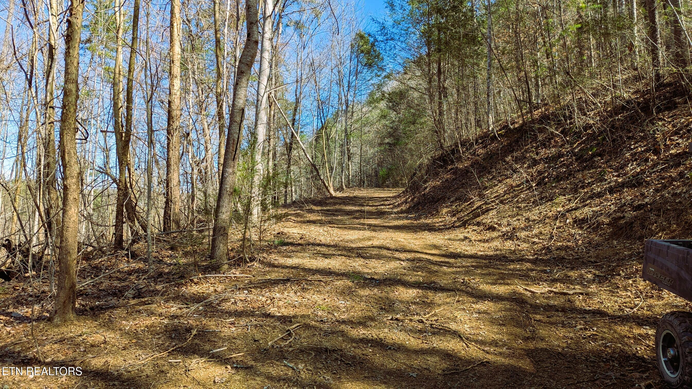 Carrs Creek 14 Acres Road Townsend TN 37882