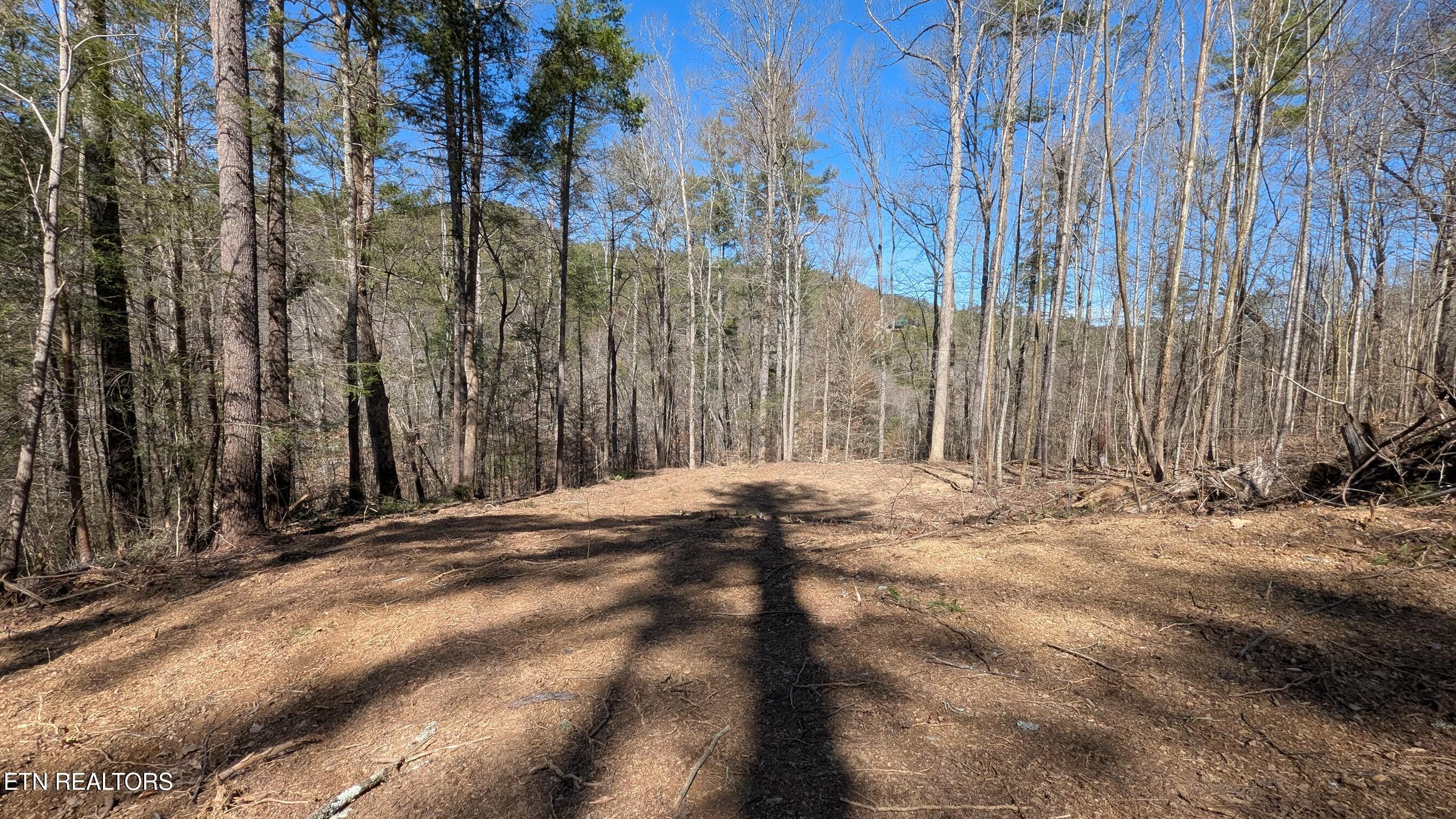 Carrs Creek 14 Acres Road Townsend TN 37882