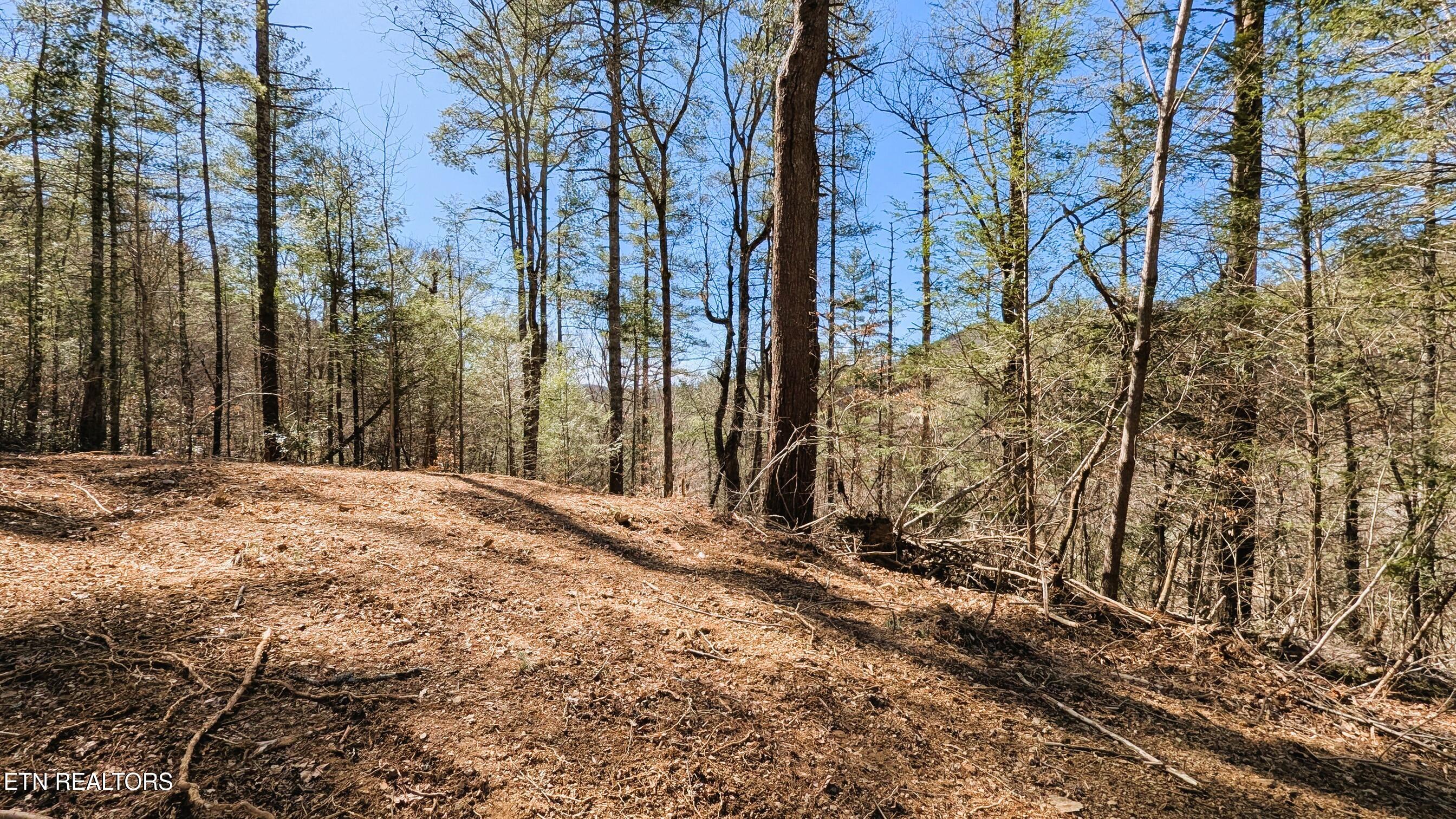 Carrs Creek 14 Acres Road Townsend TN 37882