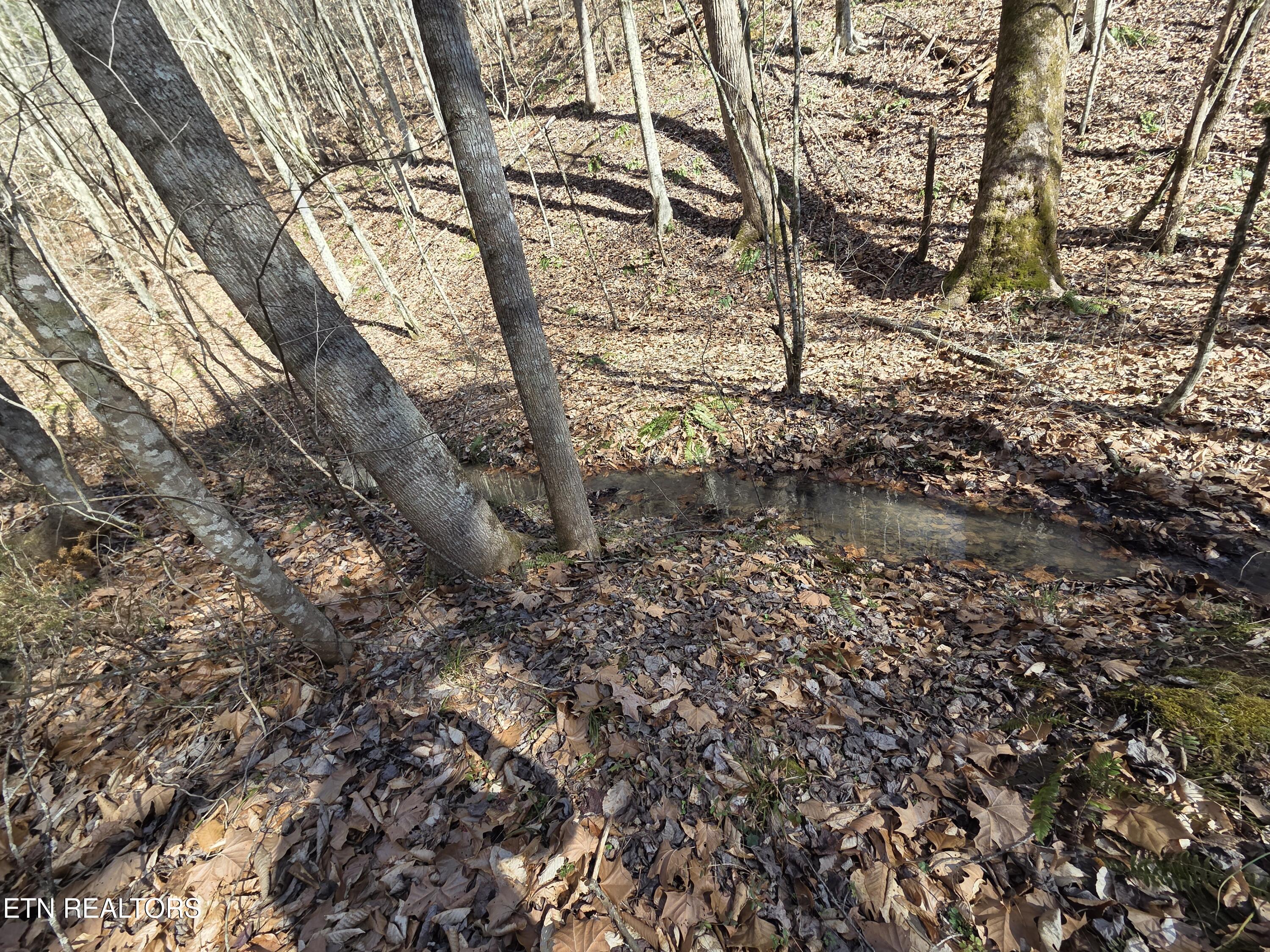 Baysinger Road Newport TN 37821