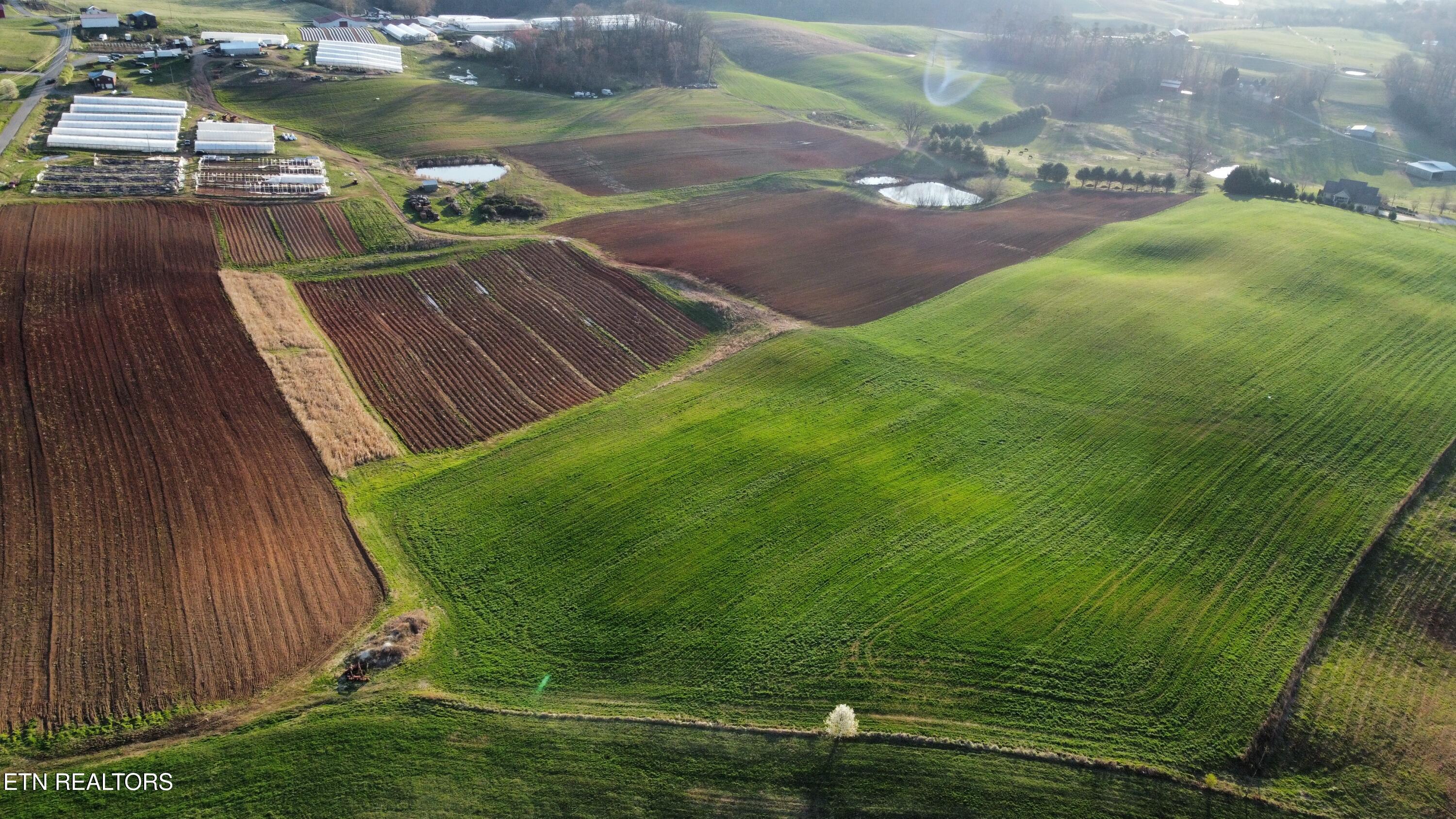 70 Acres+- Perrin Hill Road Rutledge TN 37861