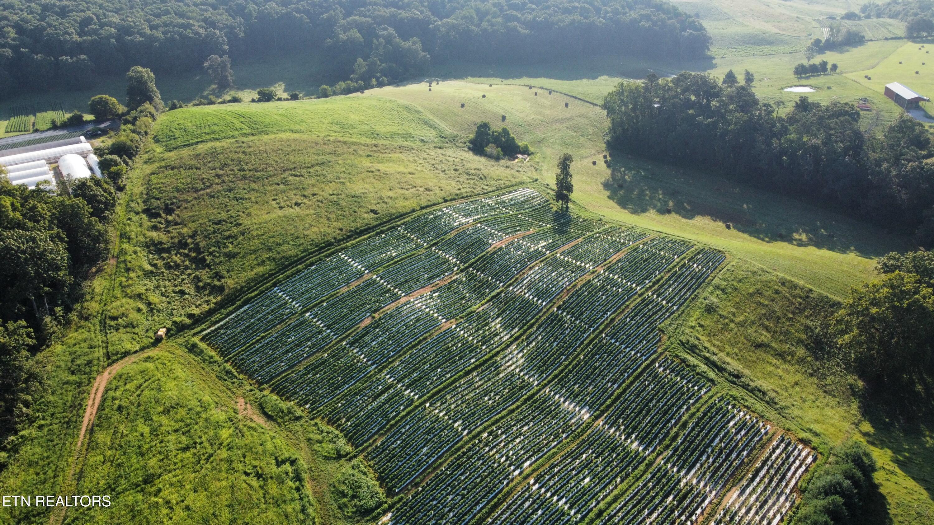 70 Acres+- Perrin Hill Road Rutledge TN 37861