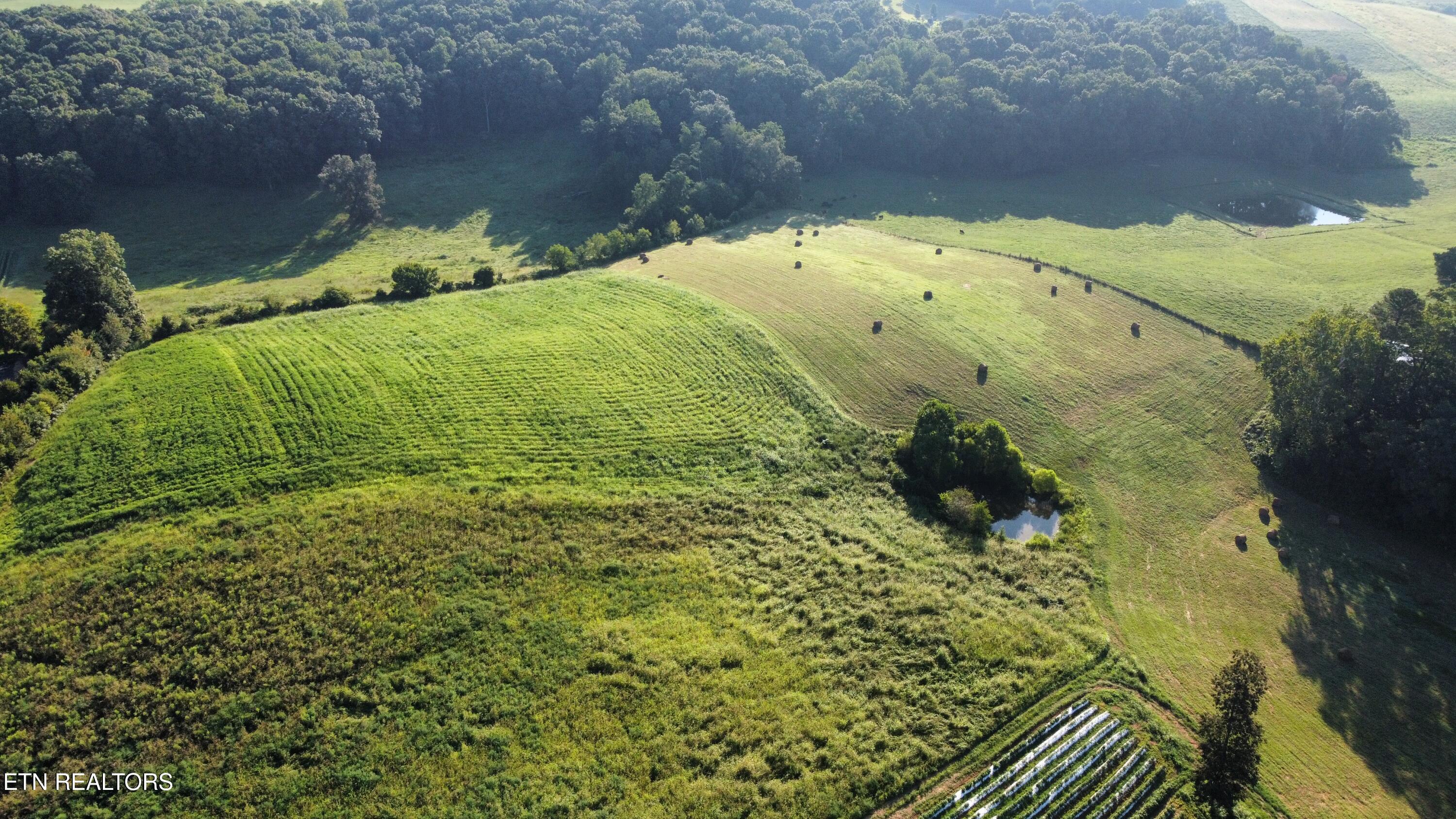 70 Acres+- Perrin Hill Road Rutledge TN 37861