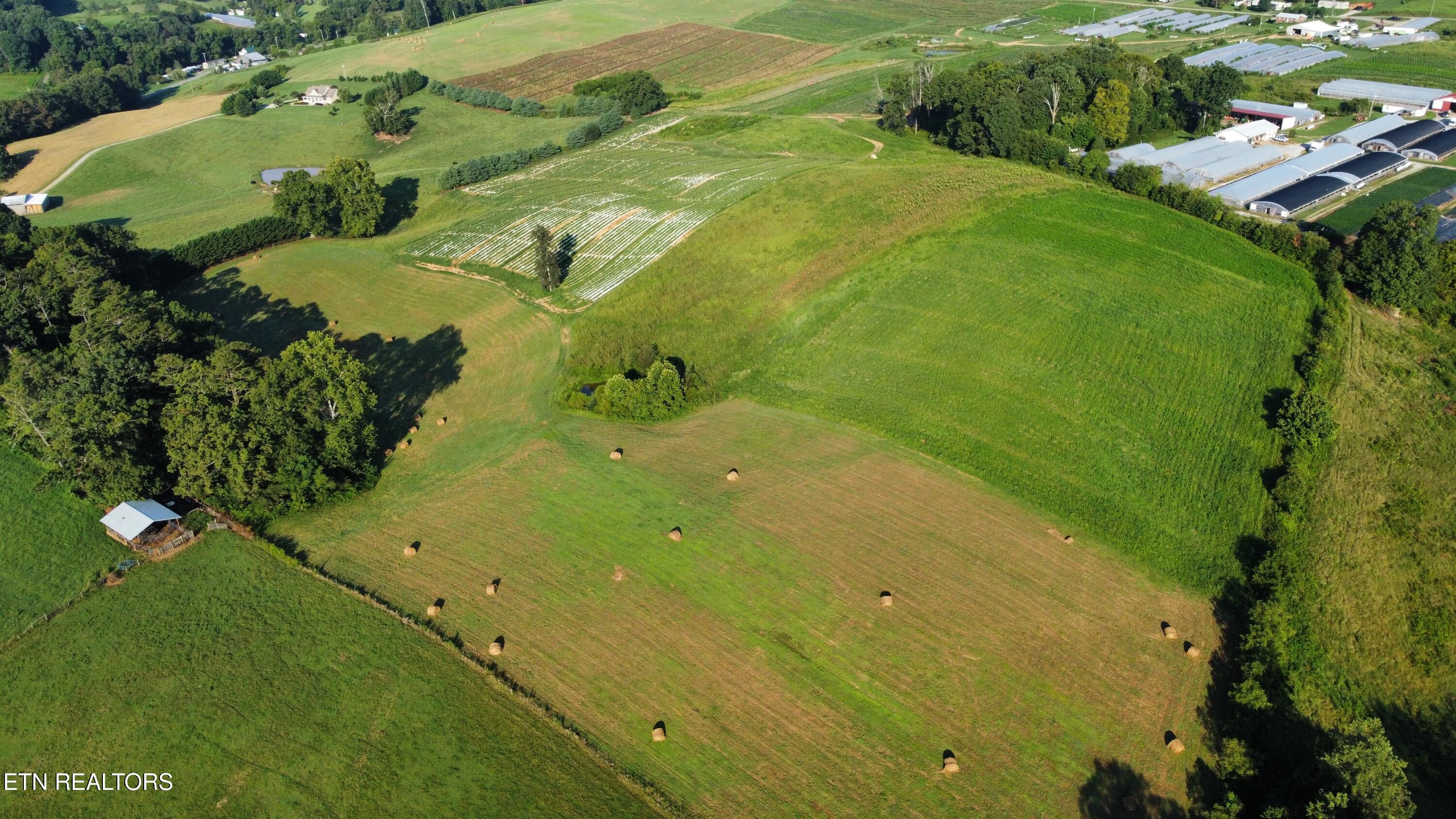 70 Acres+- Perrin Hill Road Rutledge TN 37861