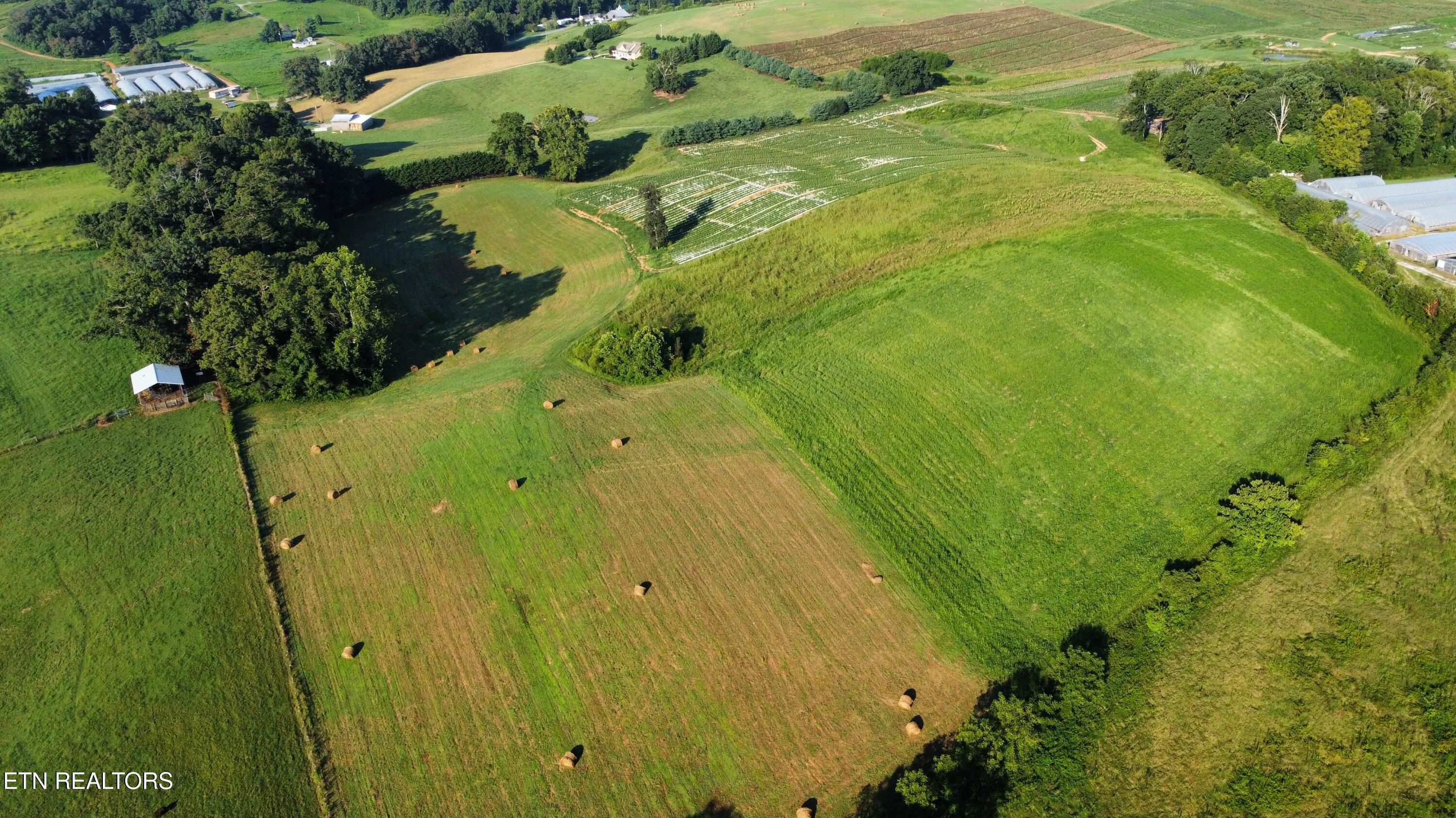 70 Acres+- Perrin Hill Road Rutledge TN 37861