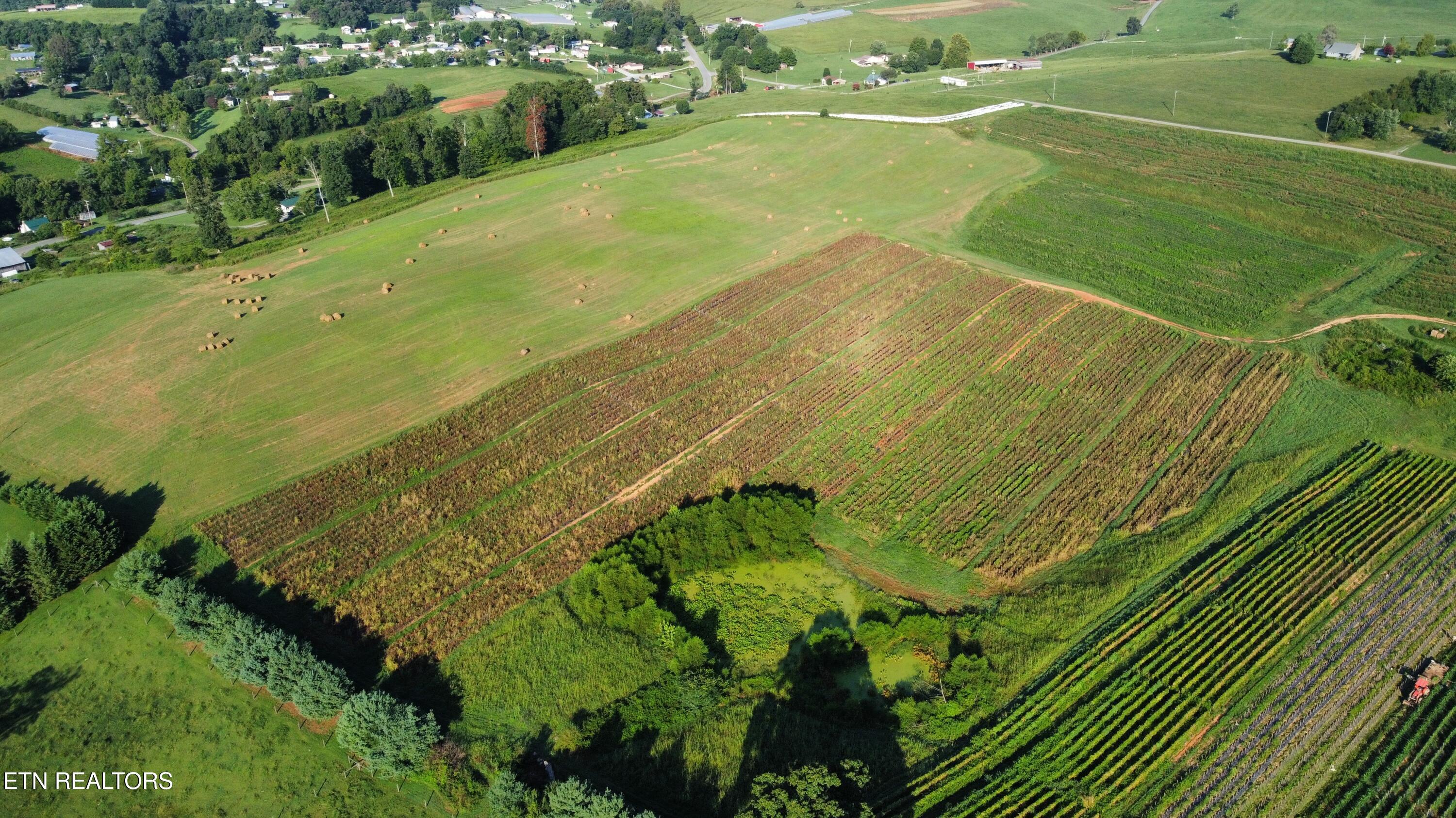70 Acres+- Perrin Hill Road Rutledge TN 37861