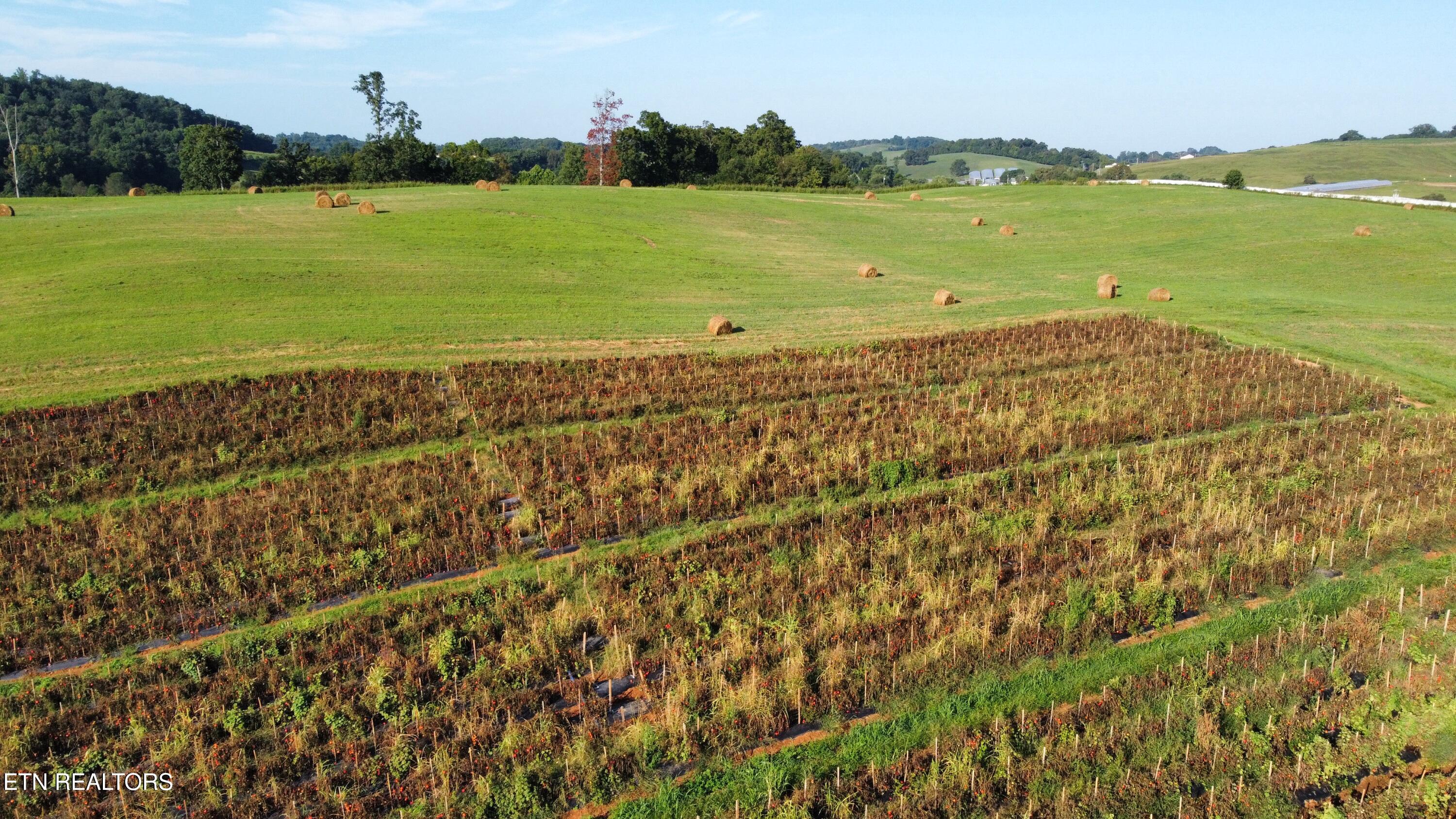 70 Acres+- Perrin Hill Road Rutledge TN 37861