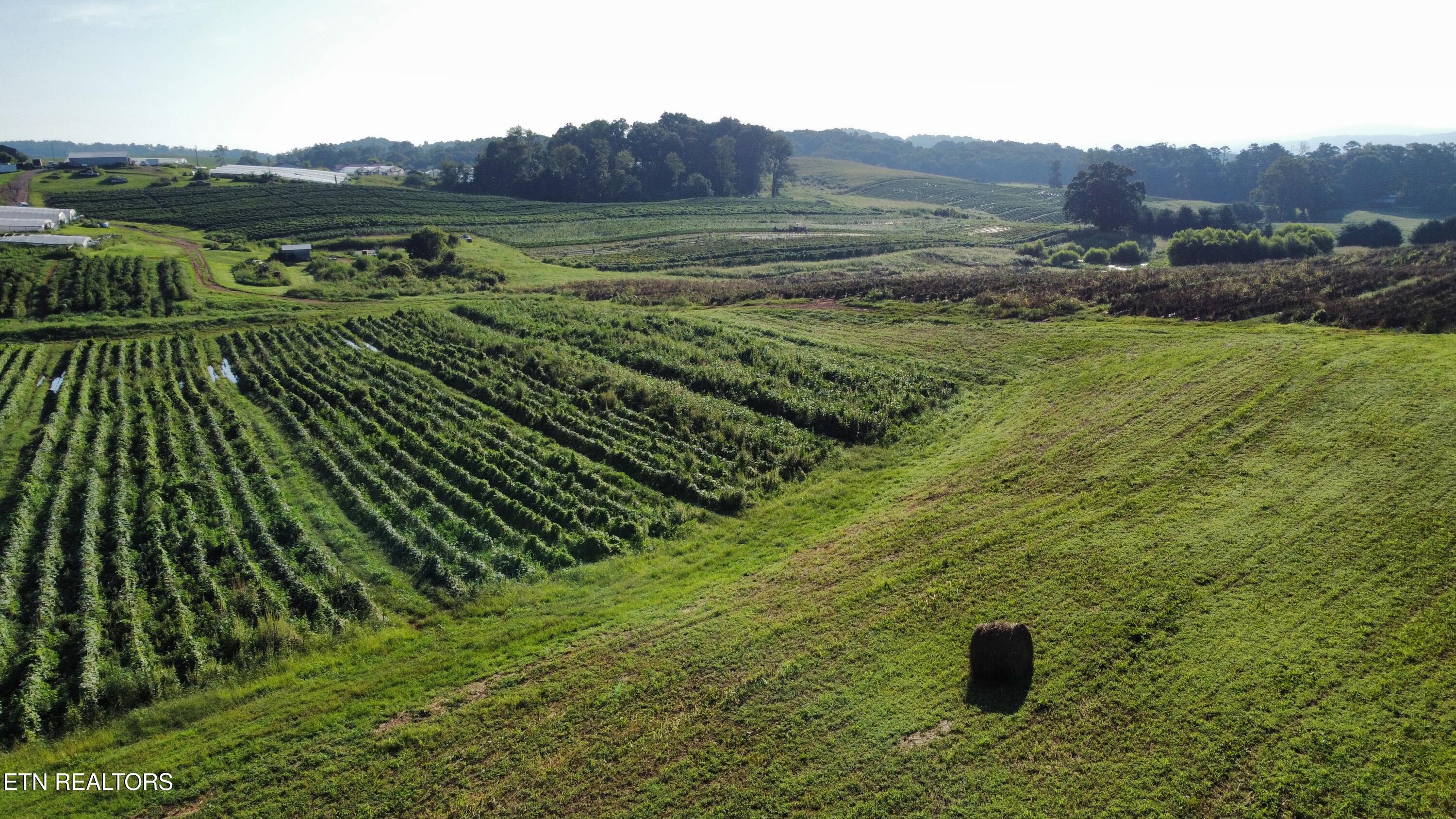 70 Acres+- Perrin Hill Road Rutledge TN 37861