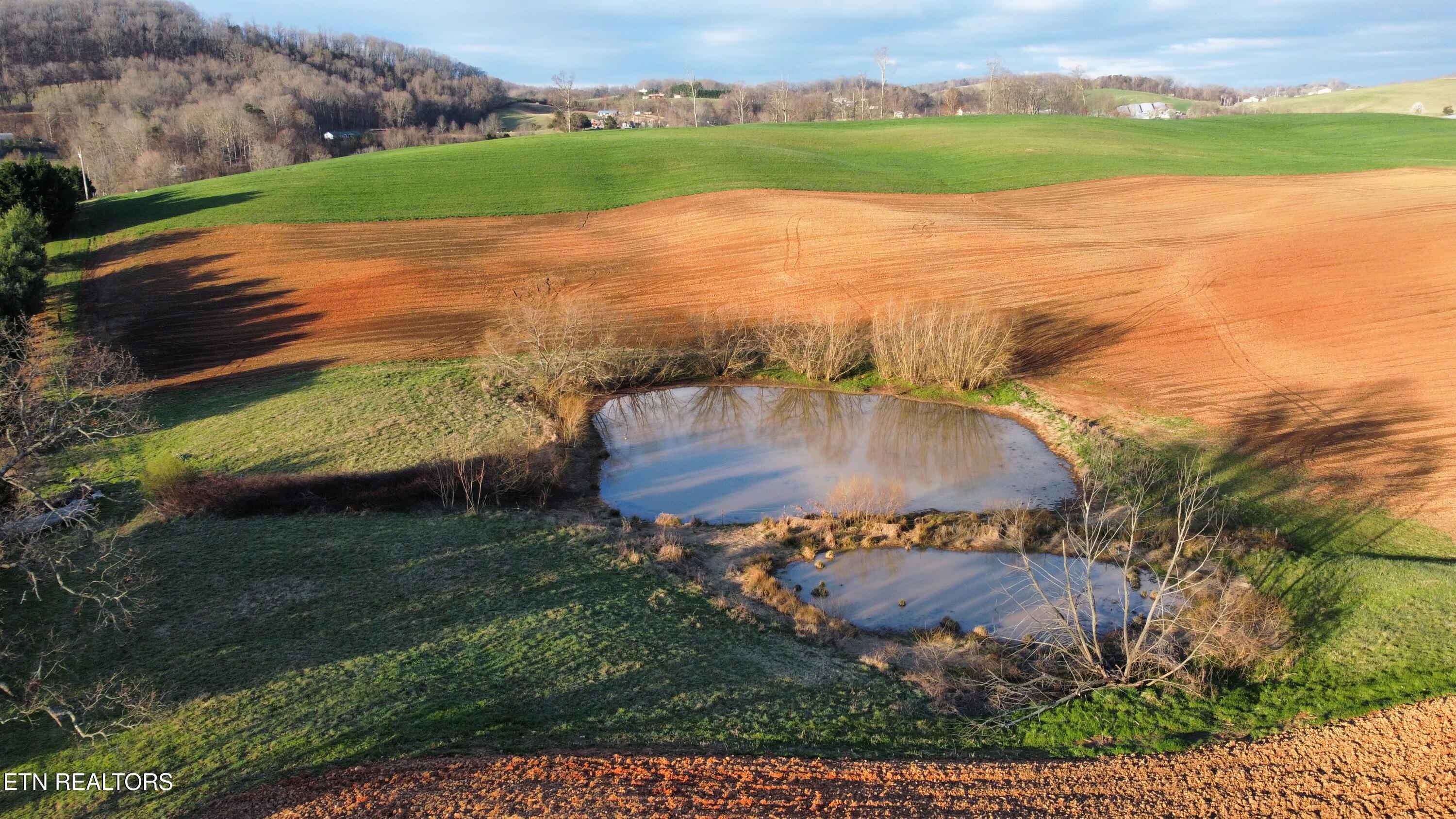 70 Acres+- Perrin Hill Road Rutledge TN 37861
