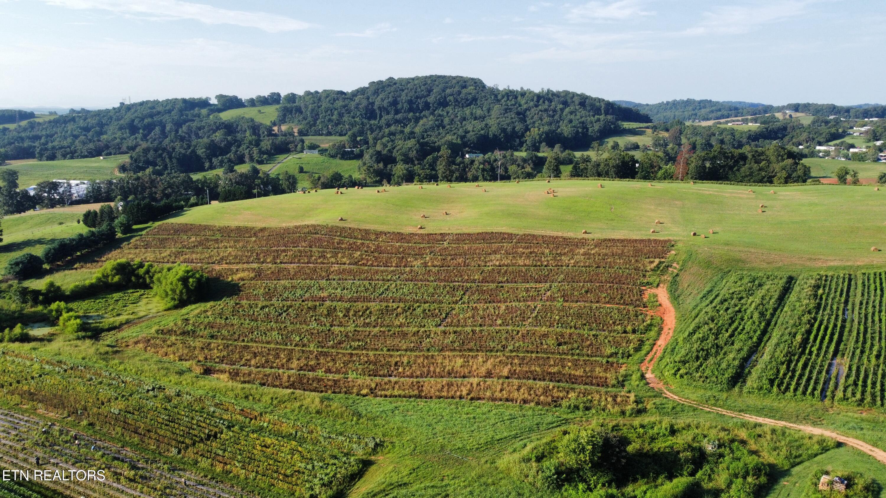 70 Acres+- Perrin Hill Road Rutledge TN 37861