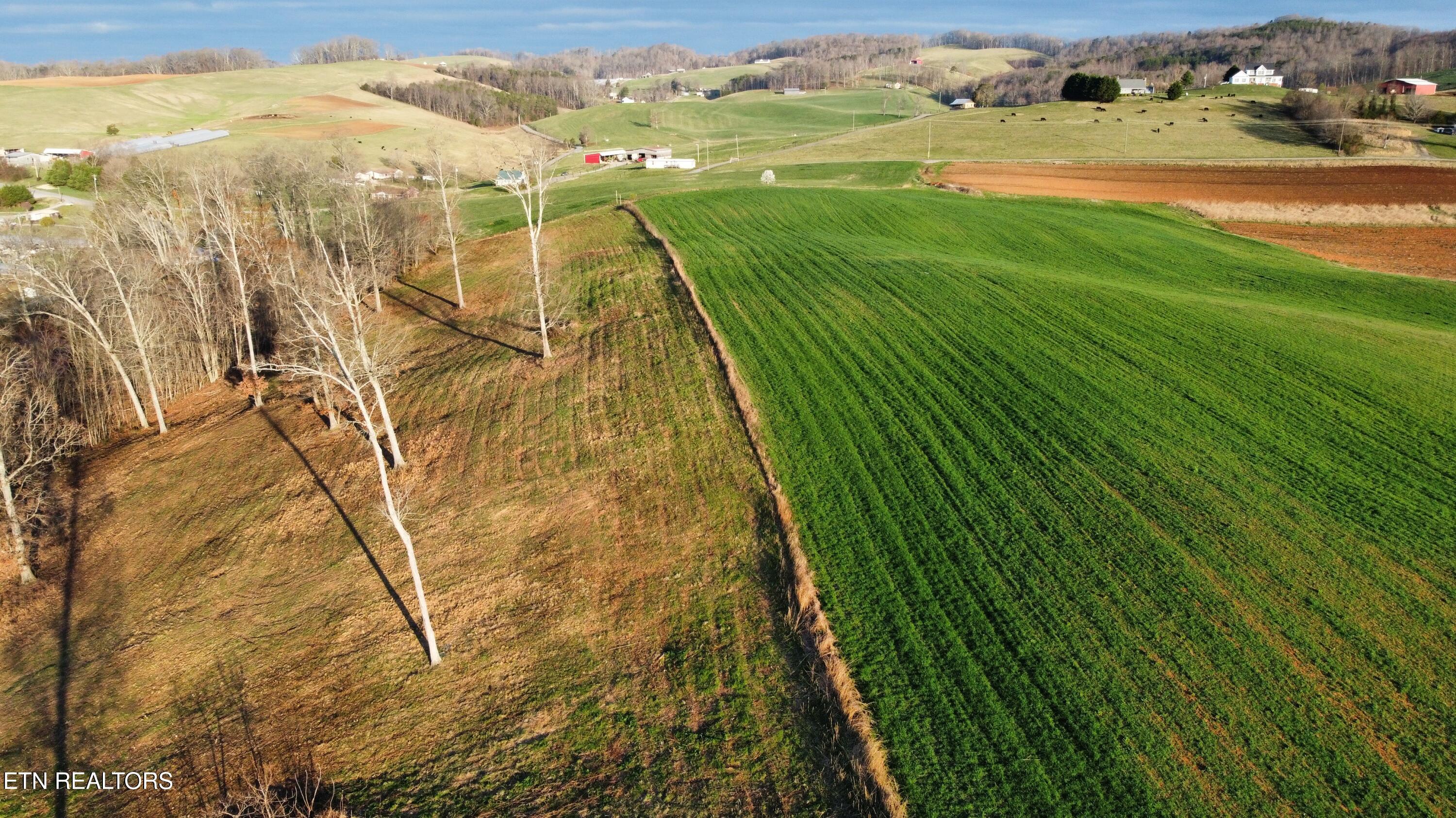 70 Acres+- Perrin Hill Road Rutledge TN 37861