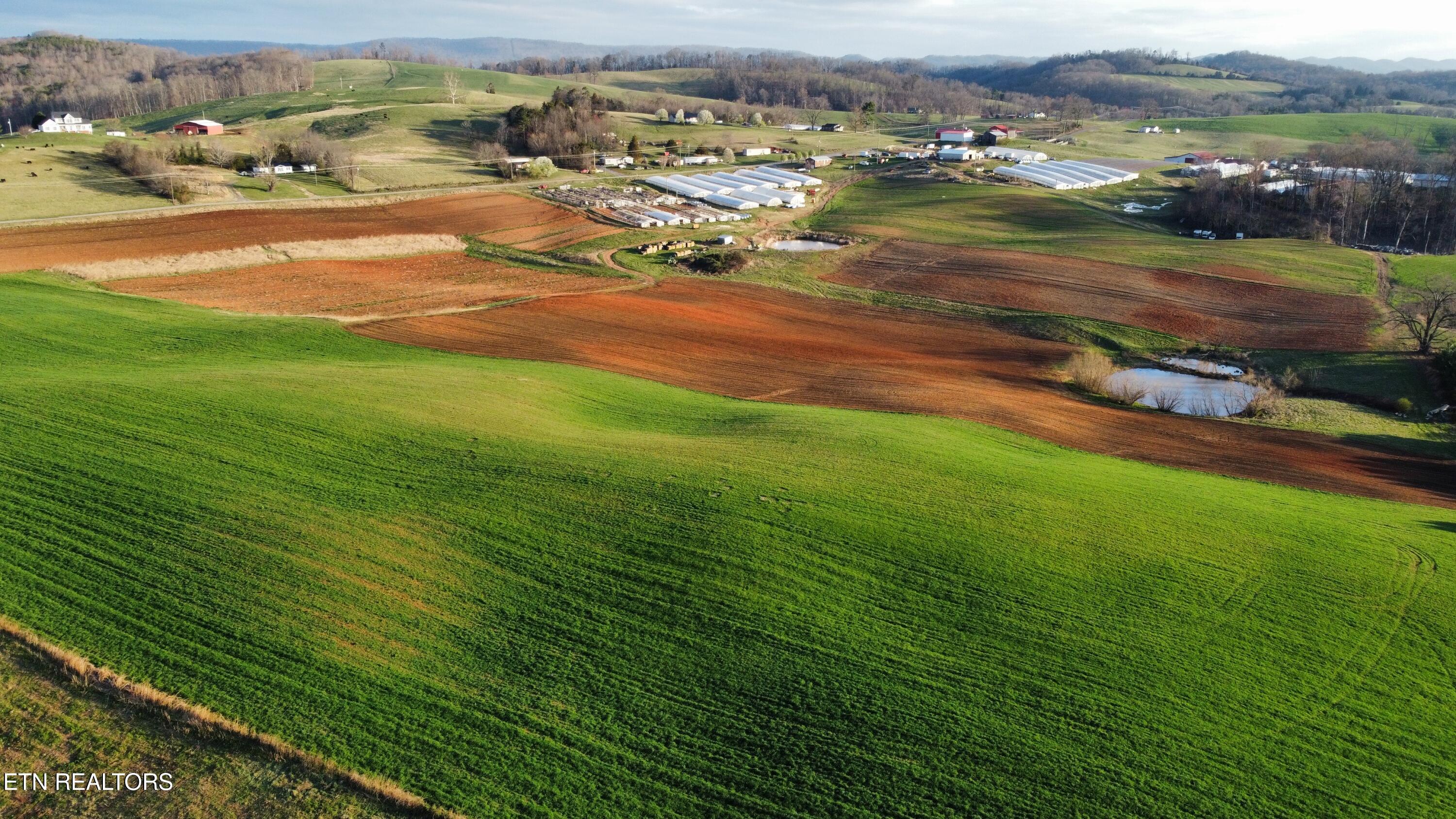 70 Acres+- Perrin Hill Road Rutledge TN 37861