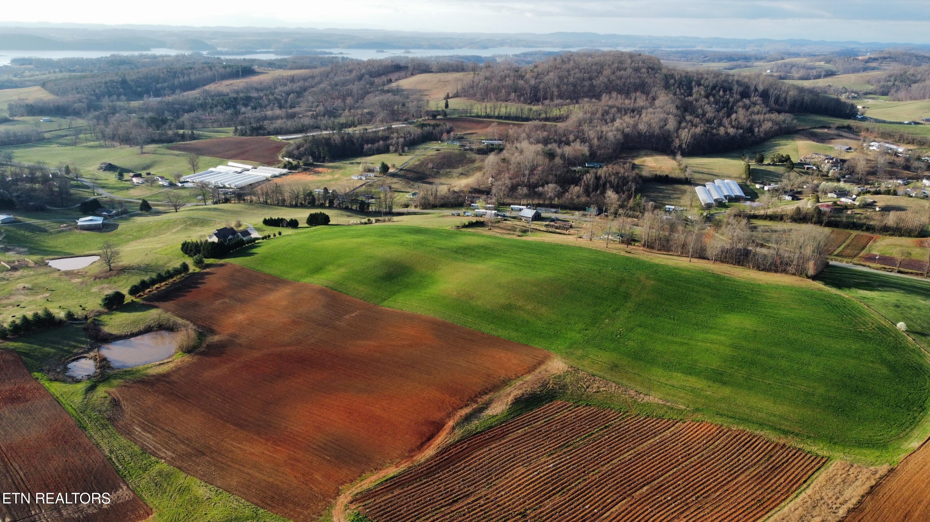 70 Acres+- Perrin Hill Road Rutledge TN 37861