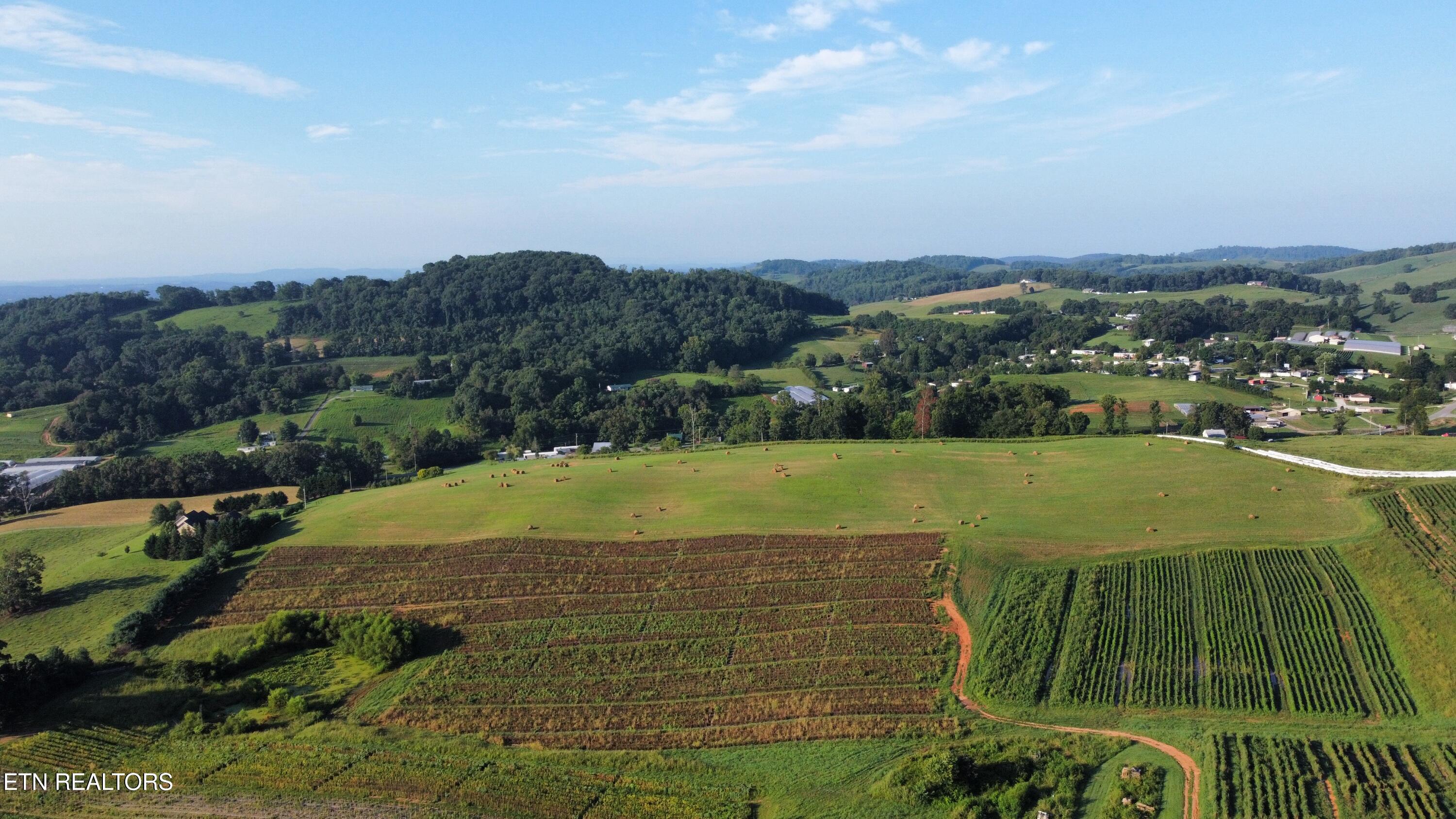 70 Acres+- Perrin Hill Road Rutledge TN 37861