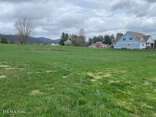 125 Lilac Lane Speedwell TN 37870
