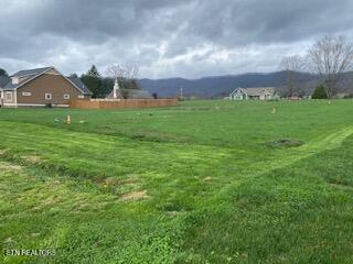 125 Lilac Lane Speedwell TN 37870