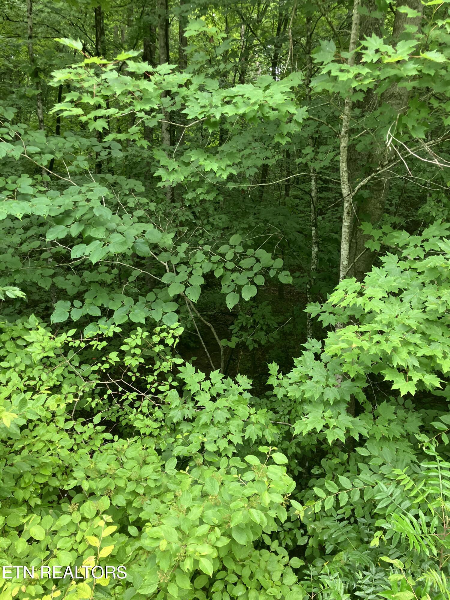 Tract 4 3 Point Road Vonore TN 37885