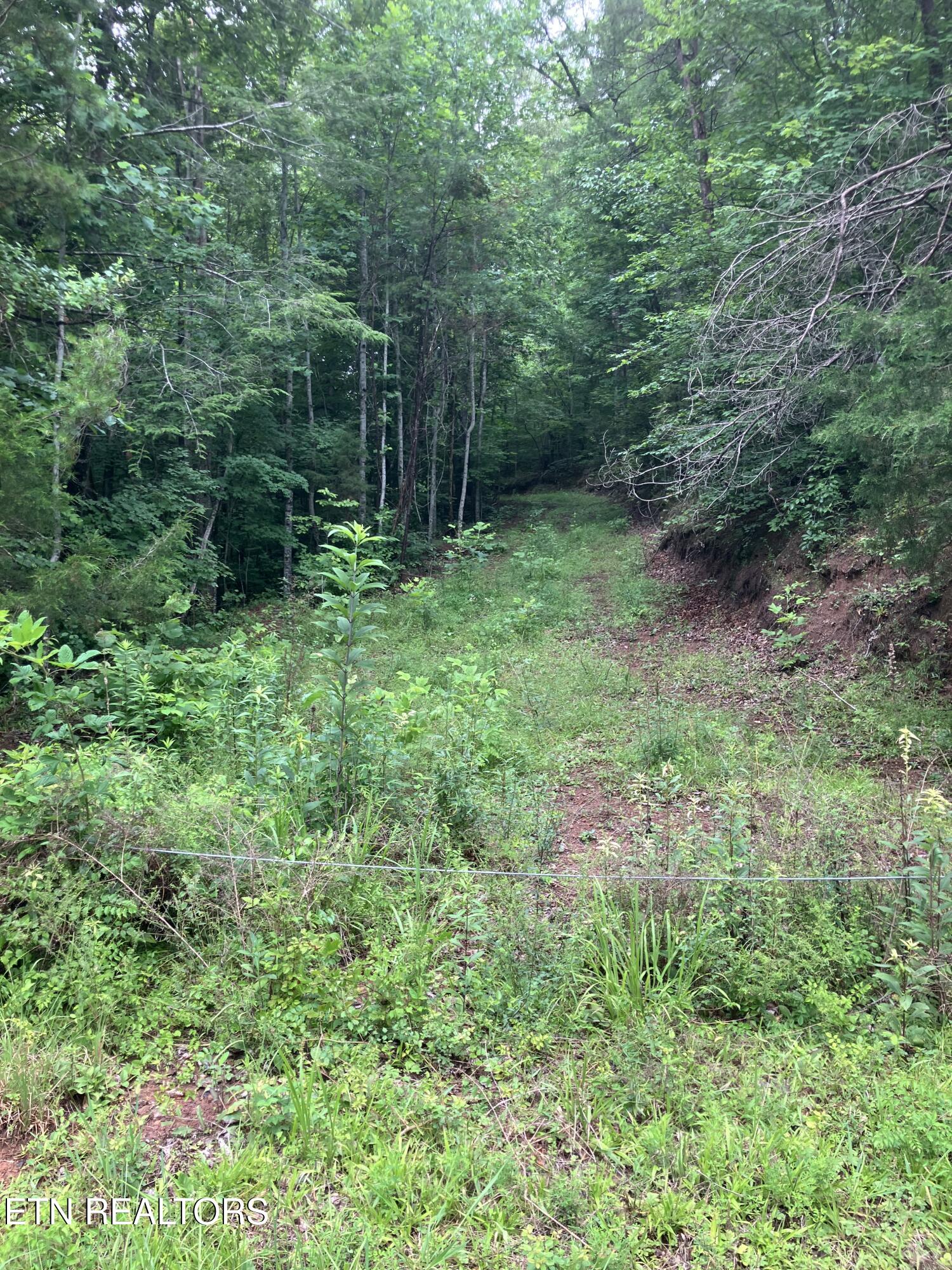 Tract 4 3 Point Road Vonore TN 37885