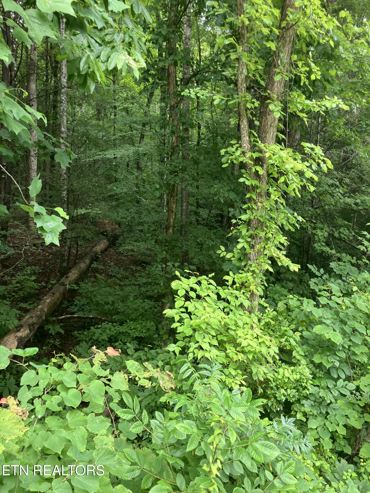 Tract 4 3 Point Road Vonore TN 37885