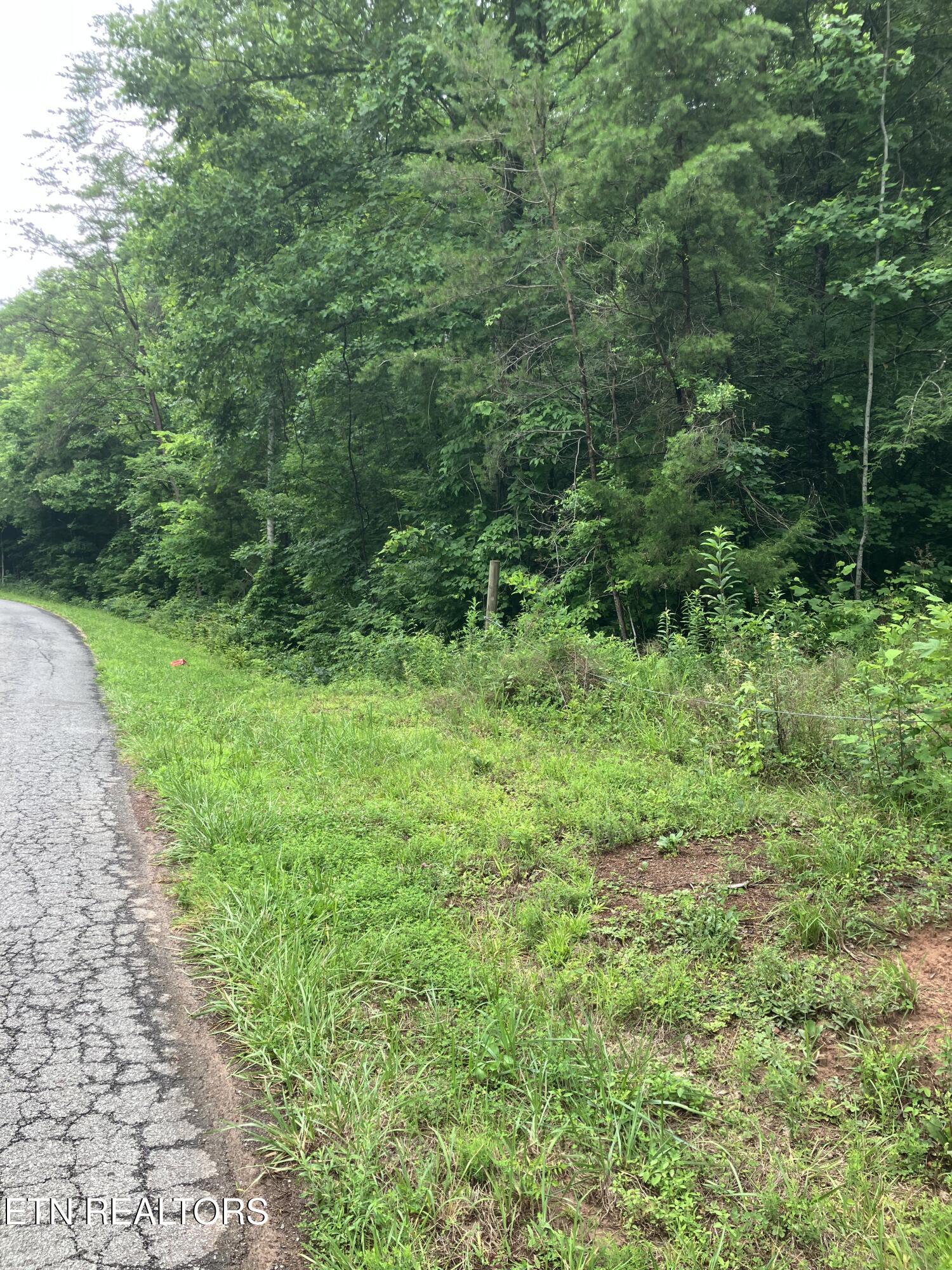 Tract 4 3 Point Road Vonore TN 37885