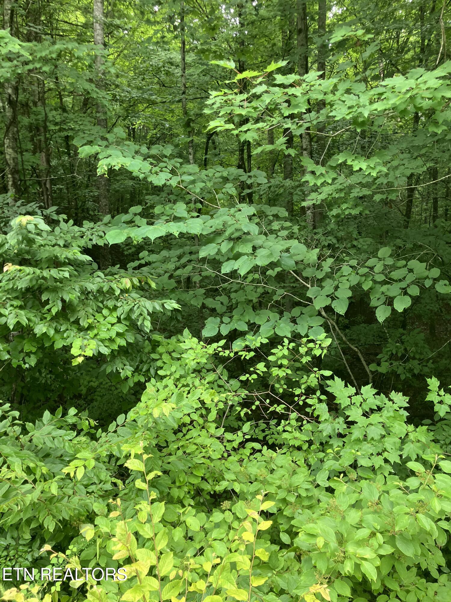 Tract 4 3 Point Road Vonore TN 37885
