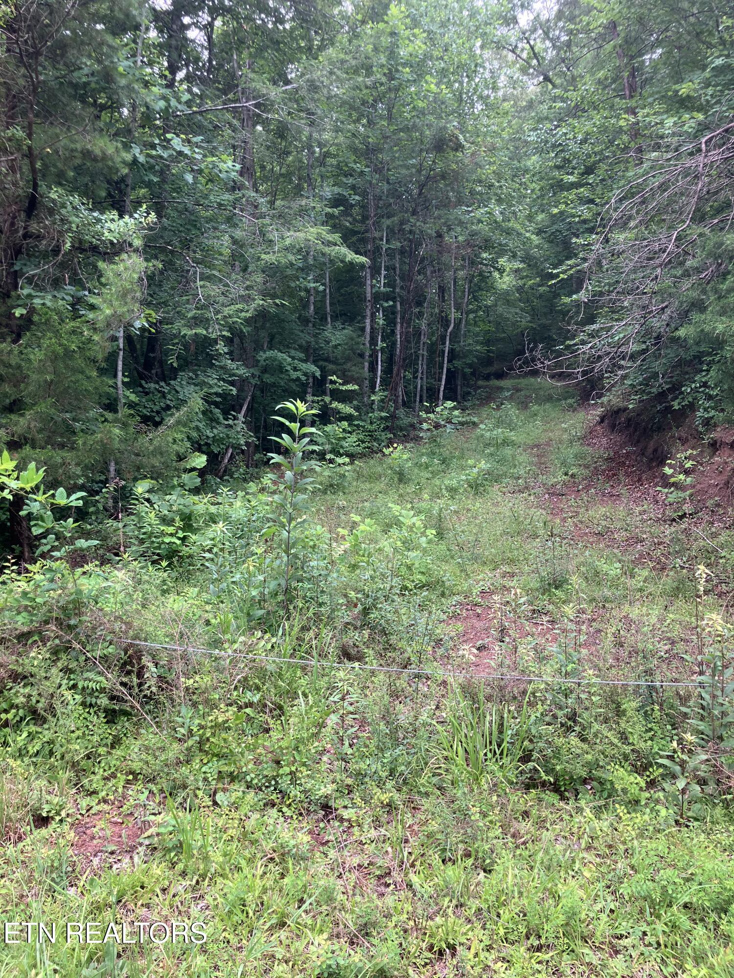 Tract 4 3 Point Road Vonore TN 37885