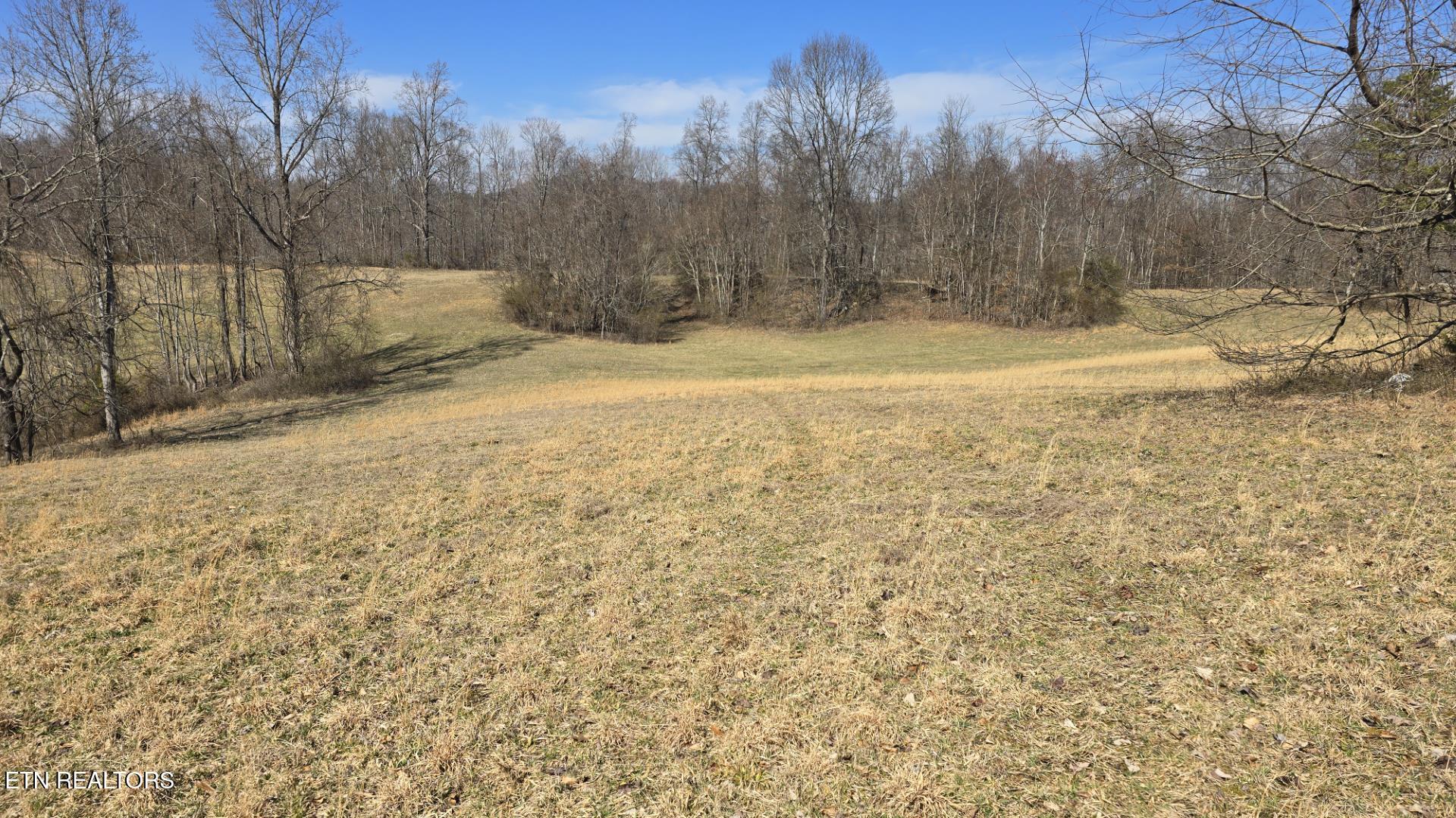 Chestnut Grove Road New Tazewell TN 37825