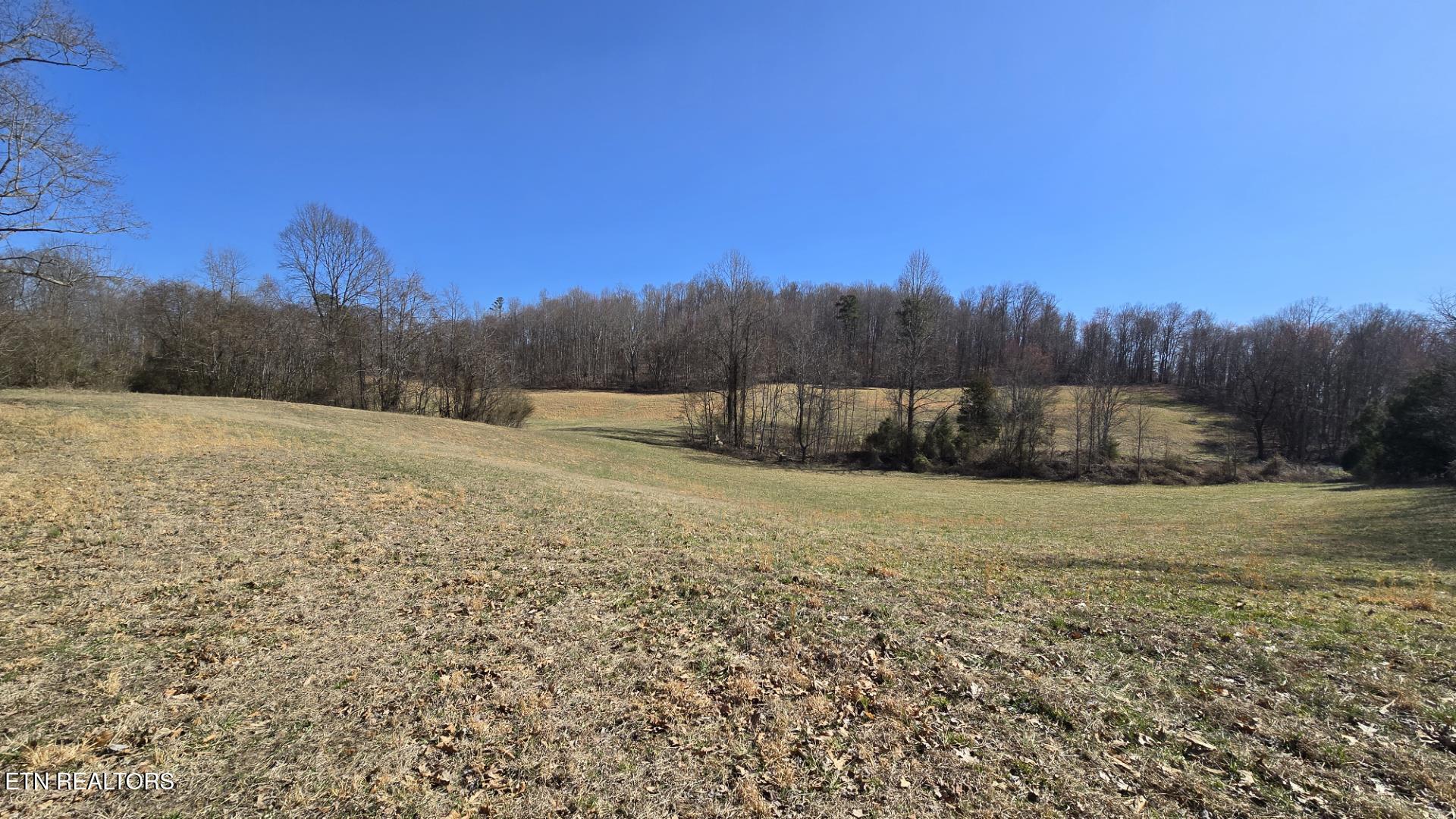 Chestnut Grove Road New Tazewell TN 37825