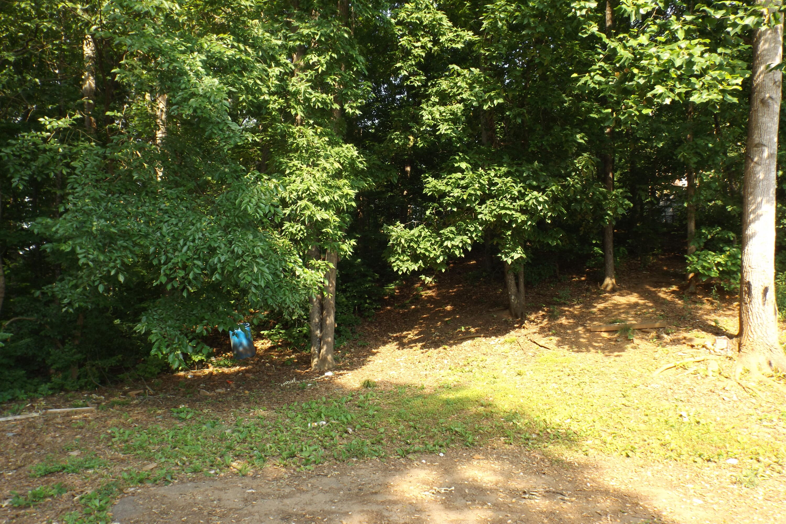 2415 Old Chilhowee Road Seymour TN 37865