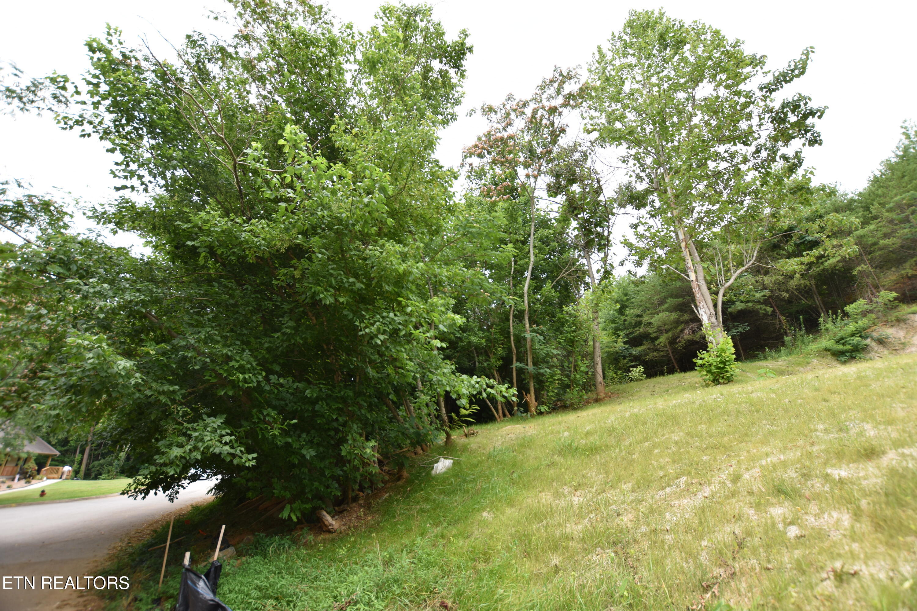 7139 Remagen Lane Knoxville TN 37920