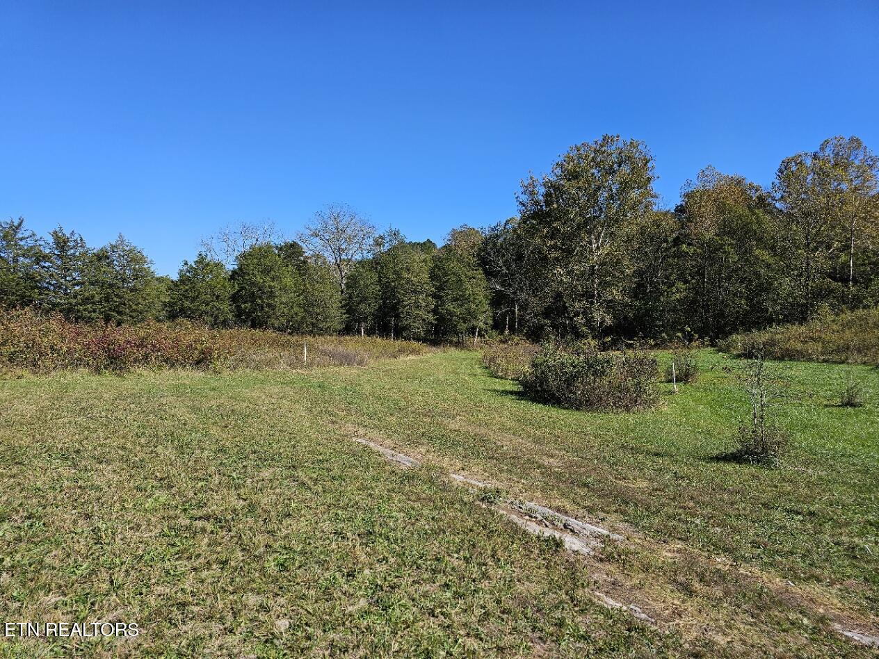 Shoreline Vista Sharps Chapel TN 37866