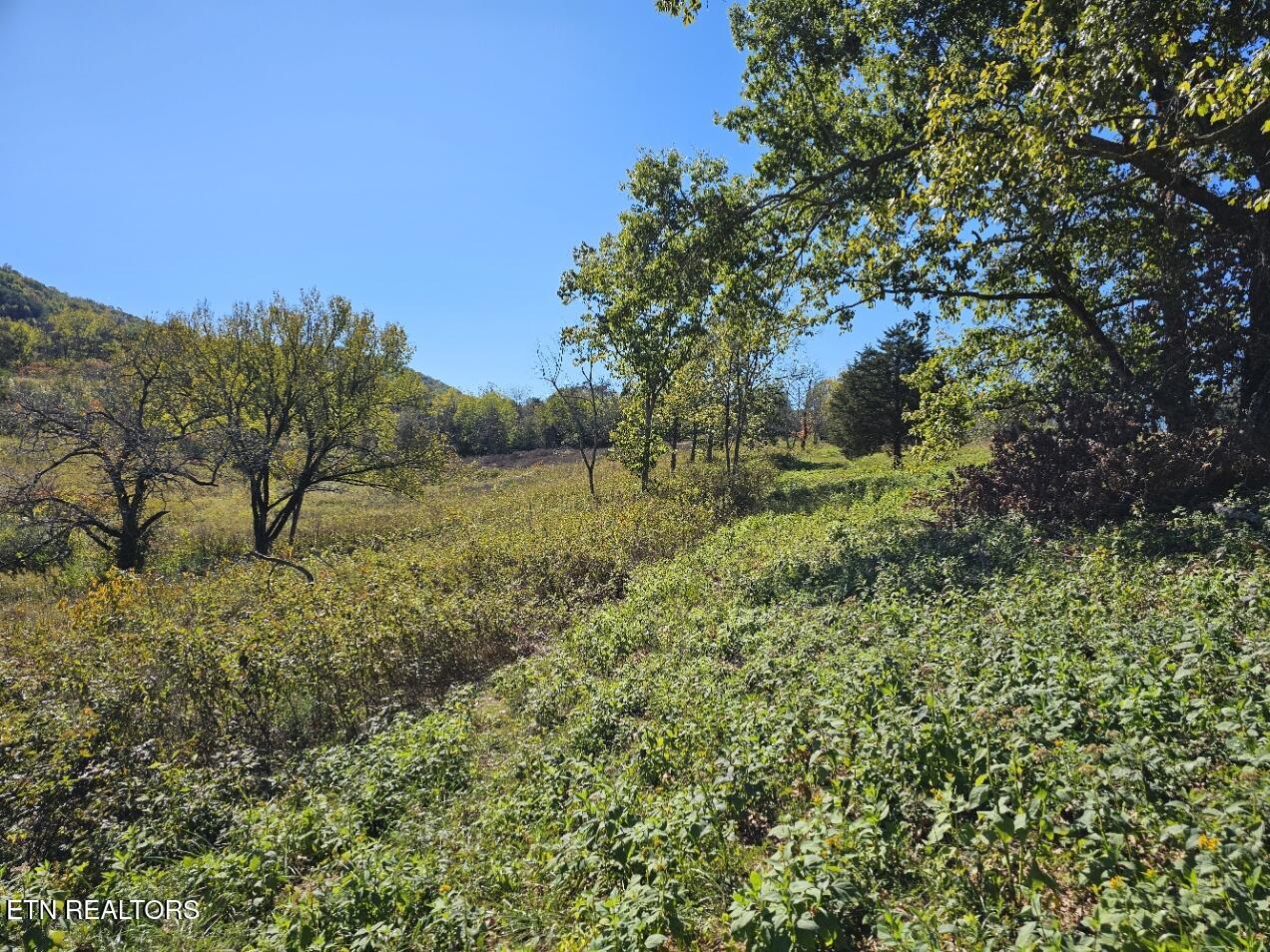 Shoreline Vista Sharps Chapel TN 37866