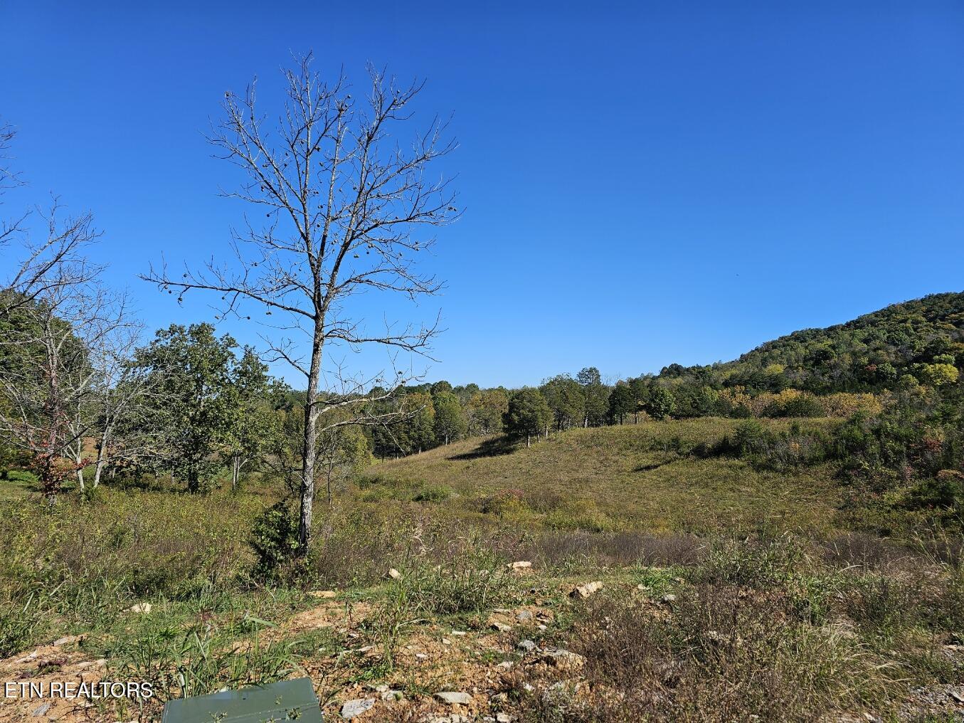 Shoreline Vista Sharps Chapel TN 37866