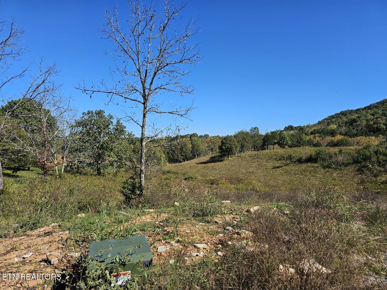 Shoreline Vista Sharps Chapel TN 37866