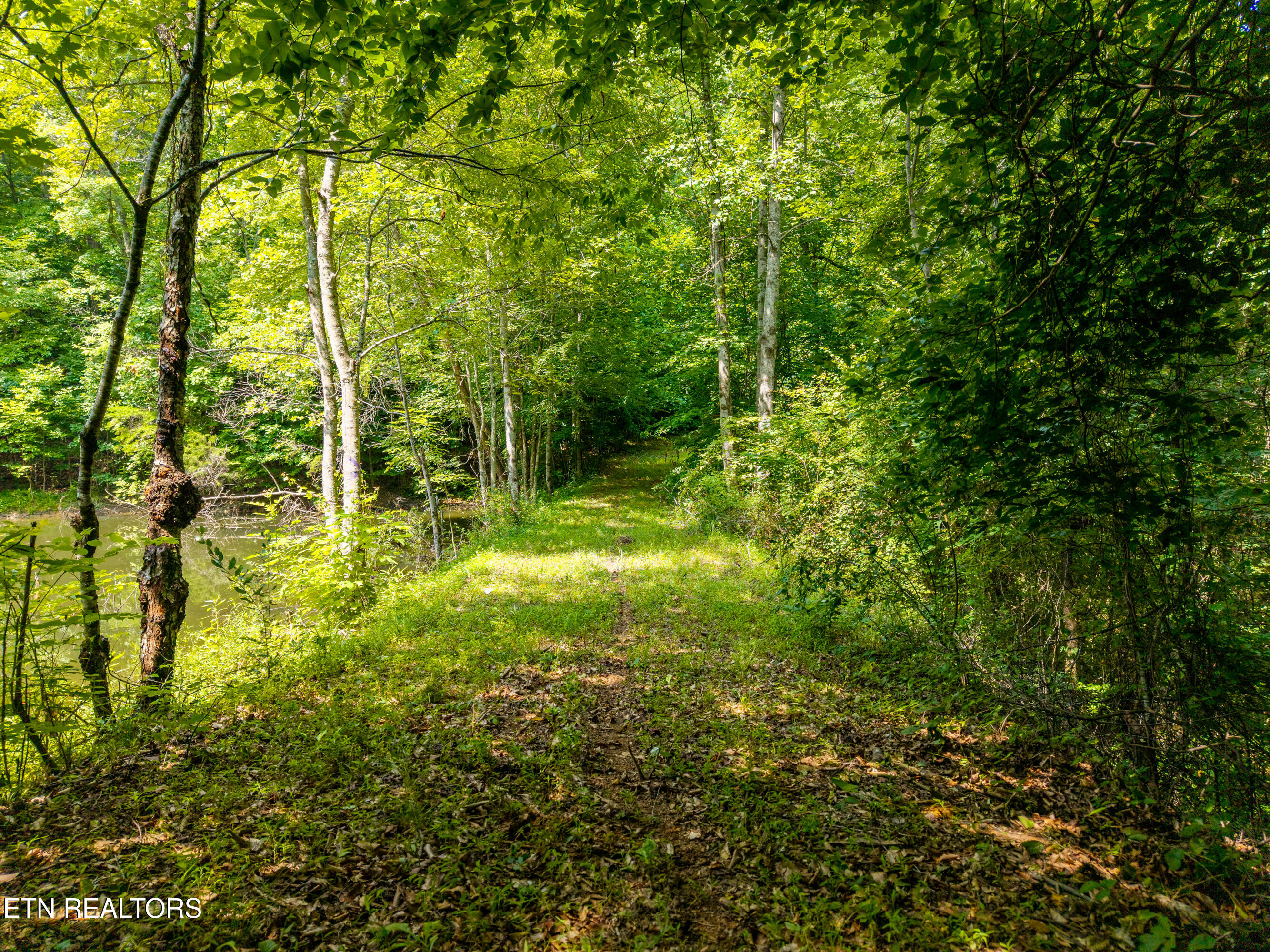 Highway 68 Tellico Plains TN 37385
