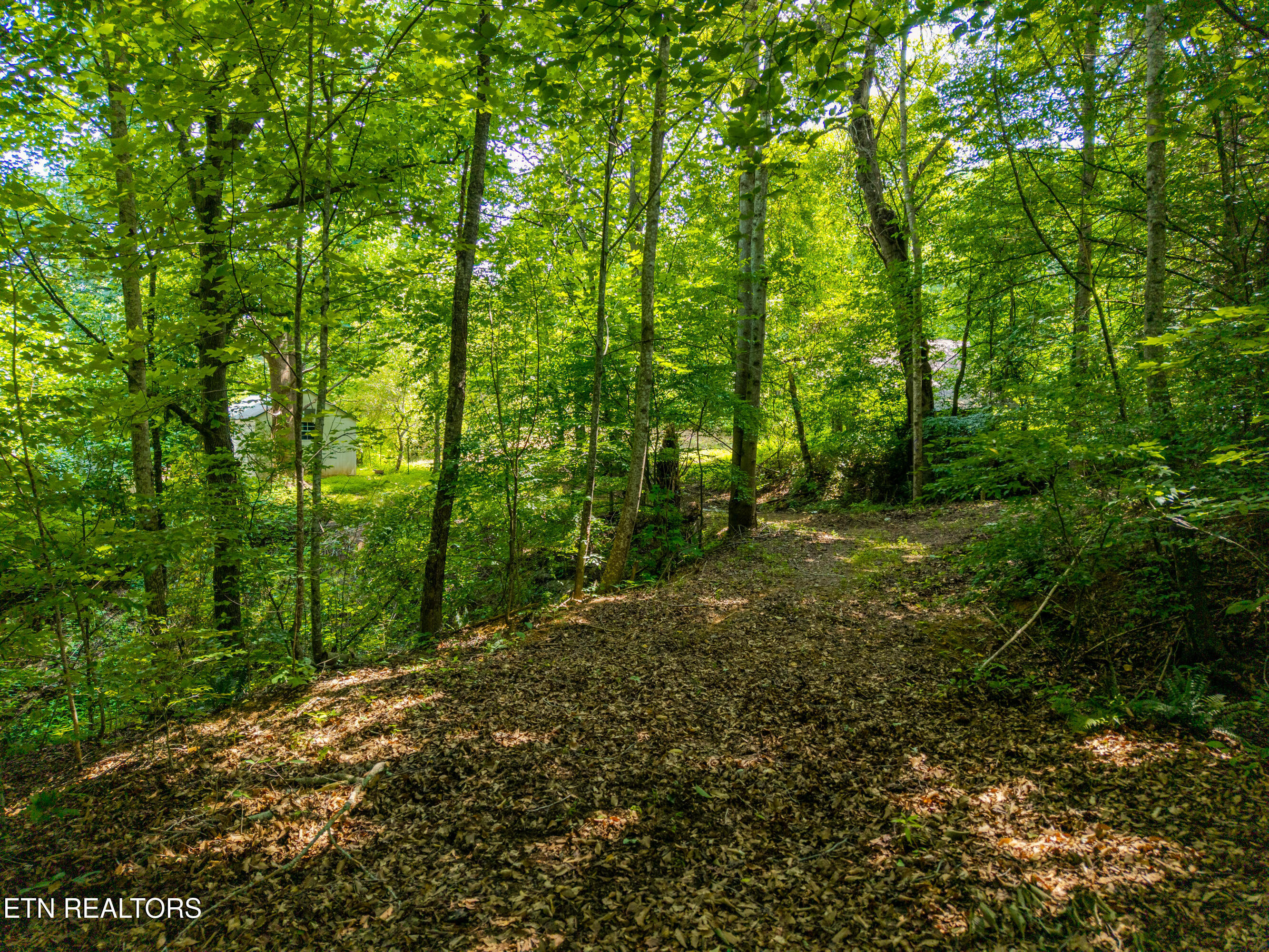 Highway 68 Tellico Plains TN 37385