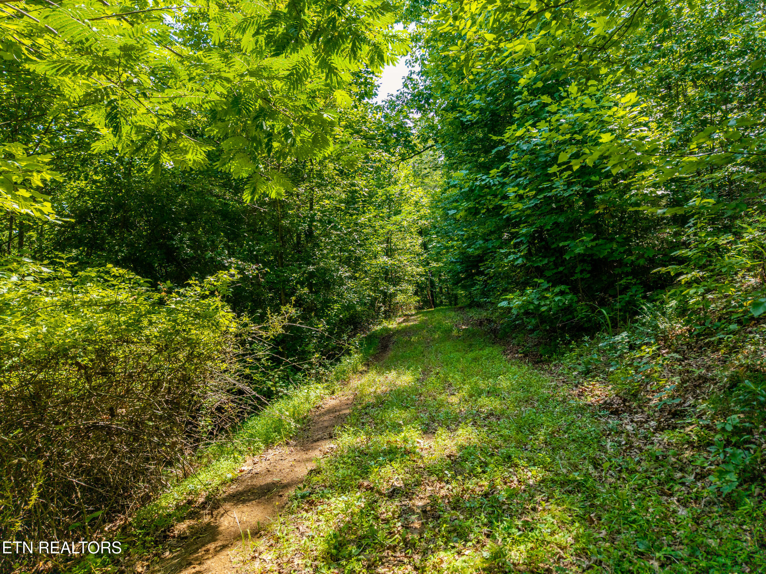 Highway 68 Tellico Plains TN 37385