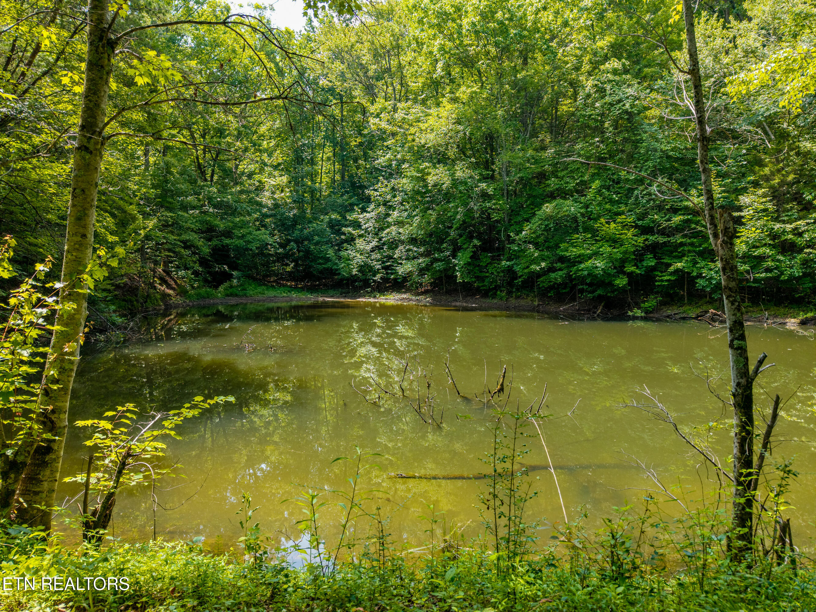 Highway 68 Tellico Plains TN 37385