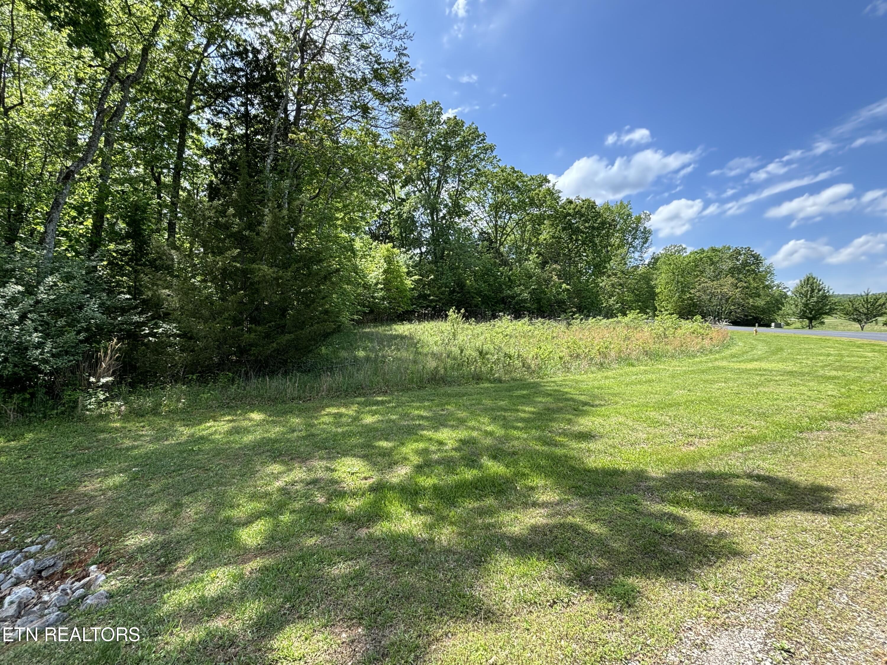 E Shore Drive Rockwood TN 37854