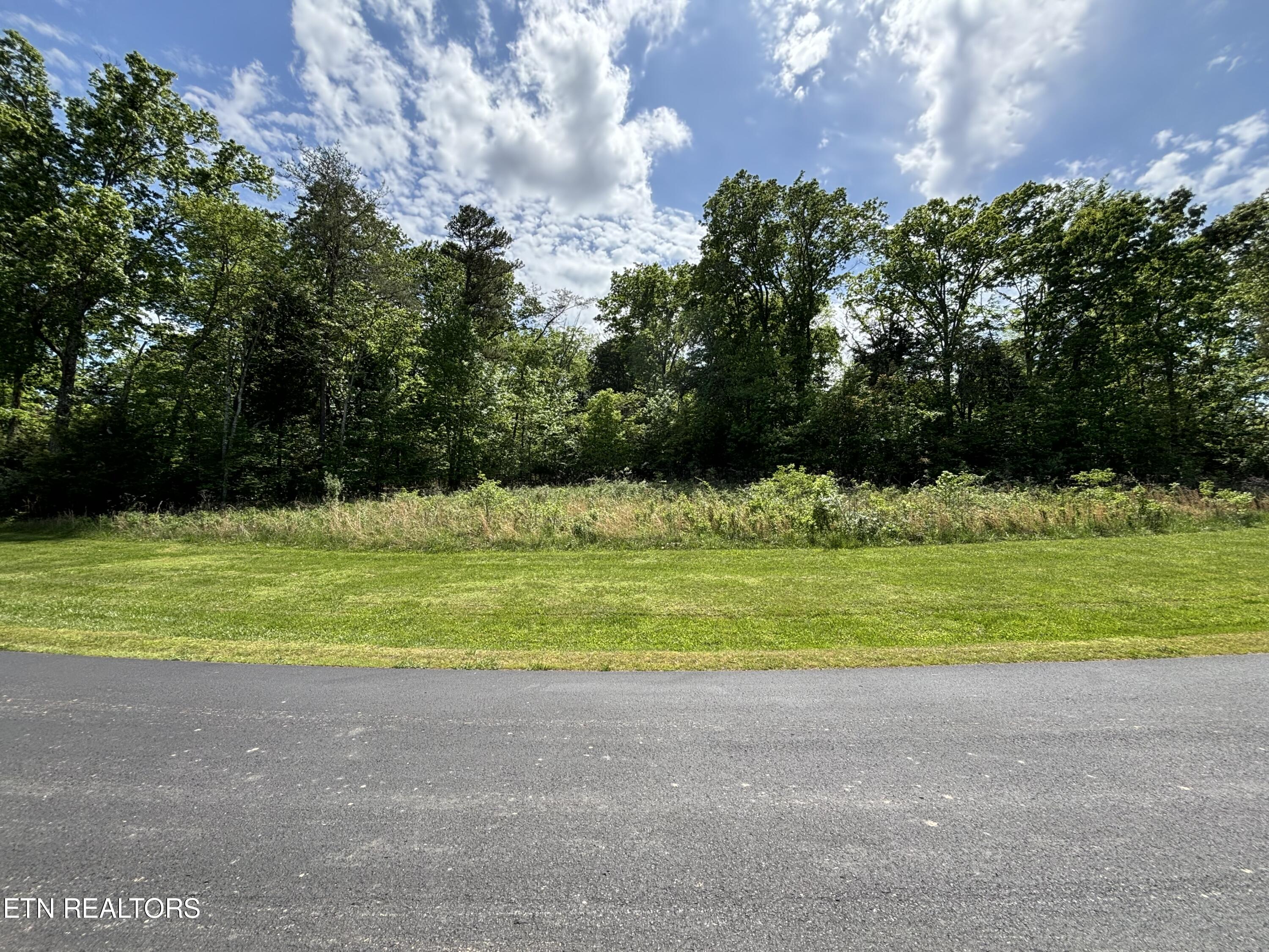 E Shore Drive Rockwood TN 37854