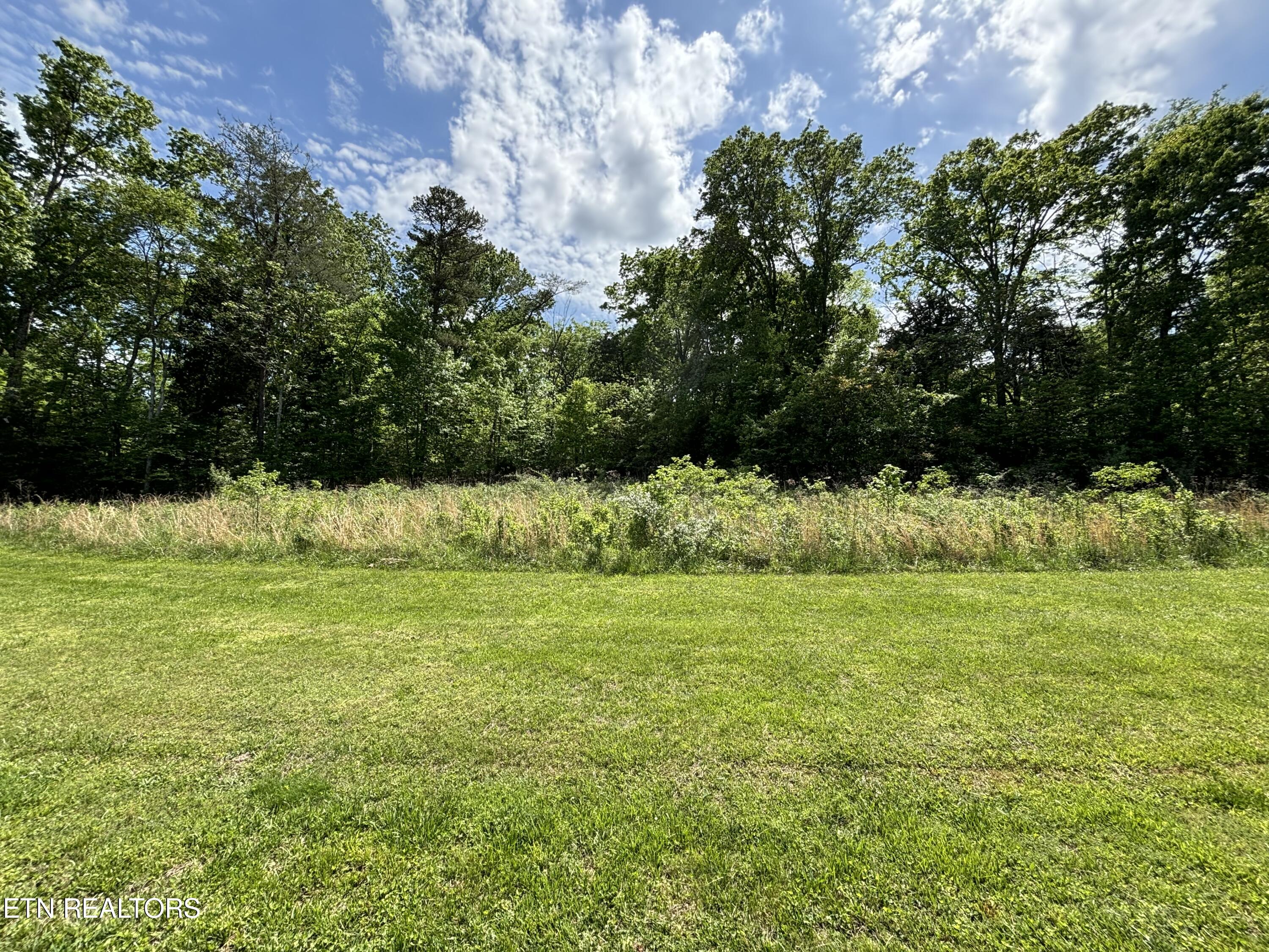 E Shore Drive Rockwood TN 37854