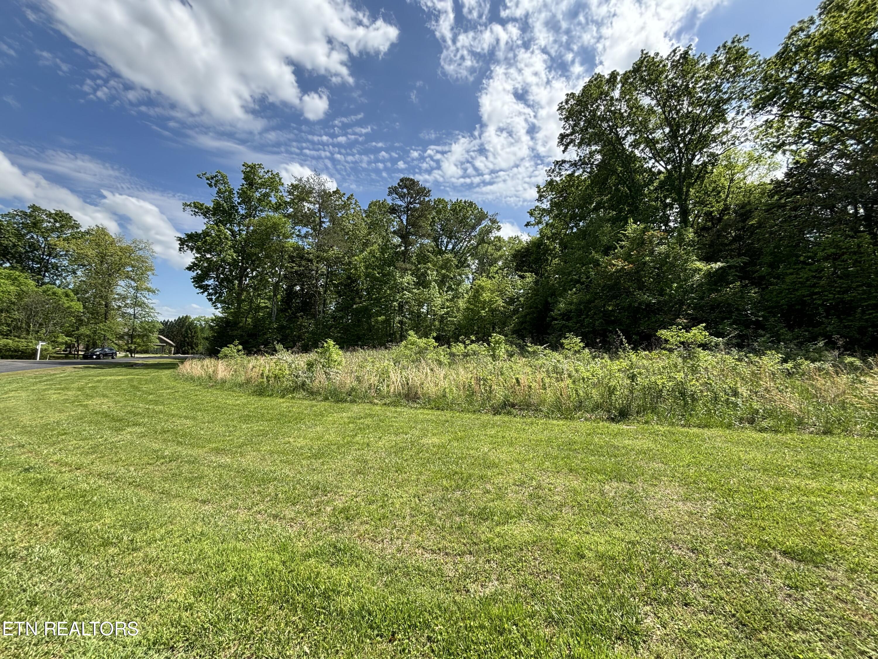 E Shore Drive Rockwood TN 37854
