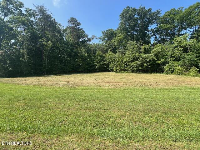E Shore Drive Rockwood TN 37854