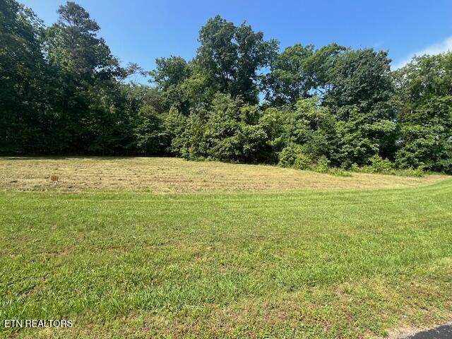 E Shore Drive Rockwood TN 37854