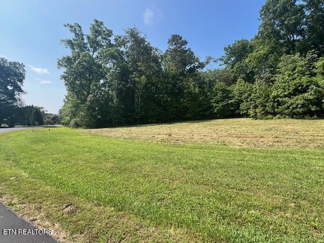 E Shore Drive Rockwood TN 37854