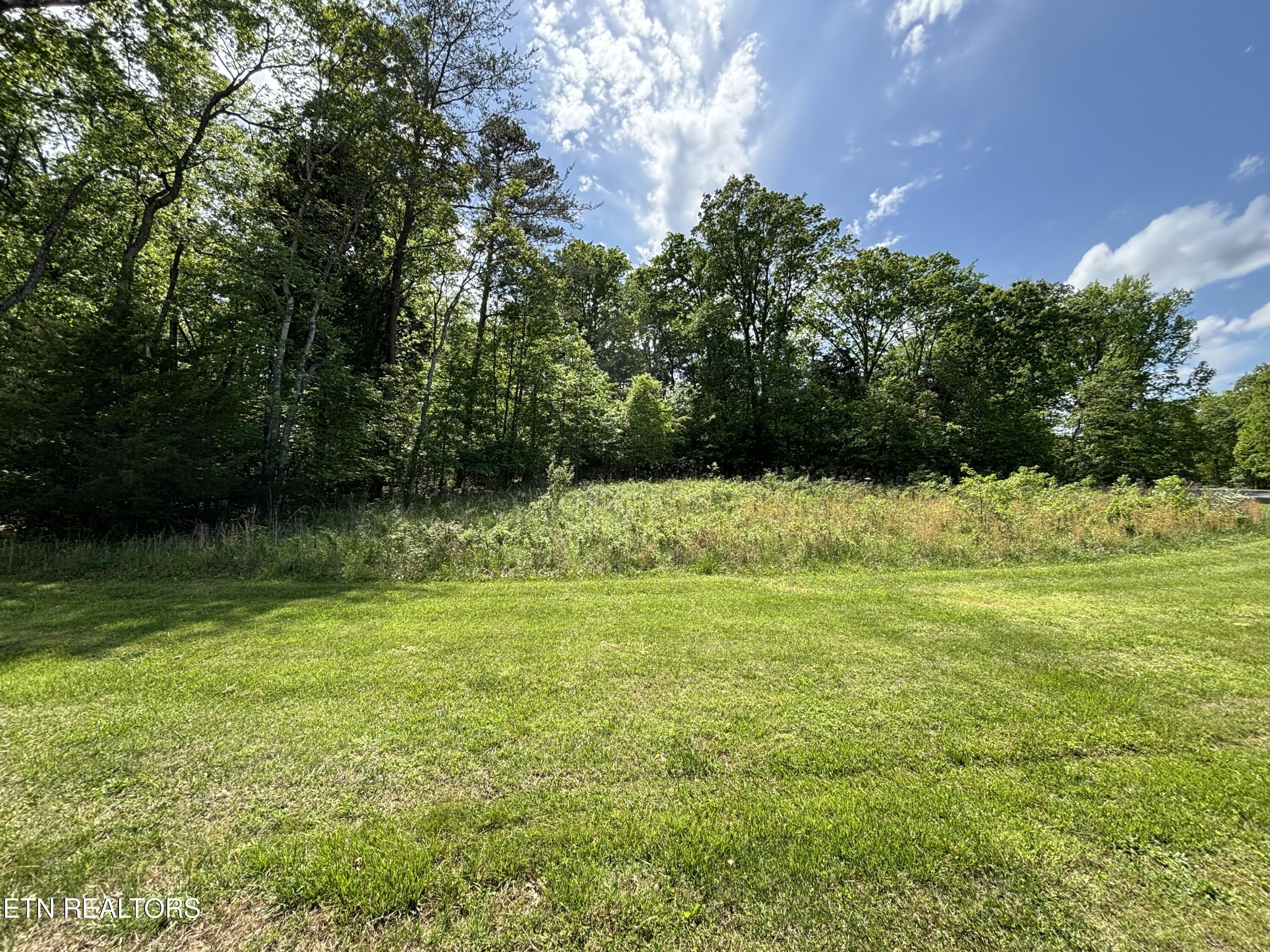 E Shore Drive Rockwood TN 37854