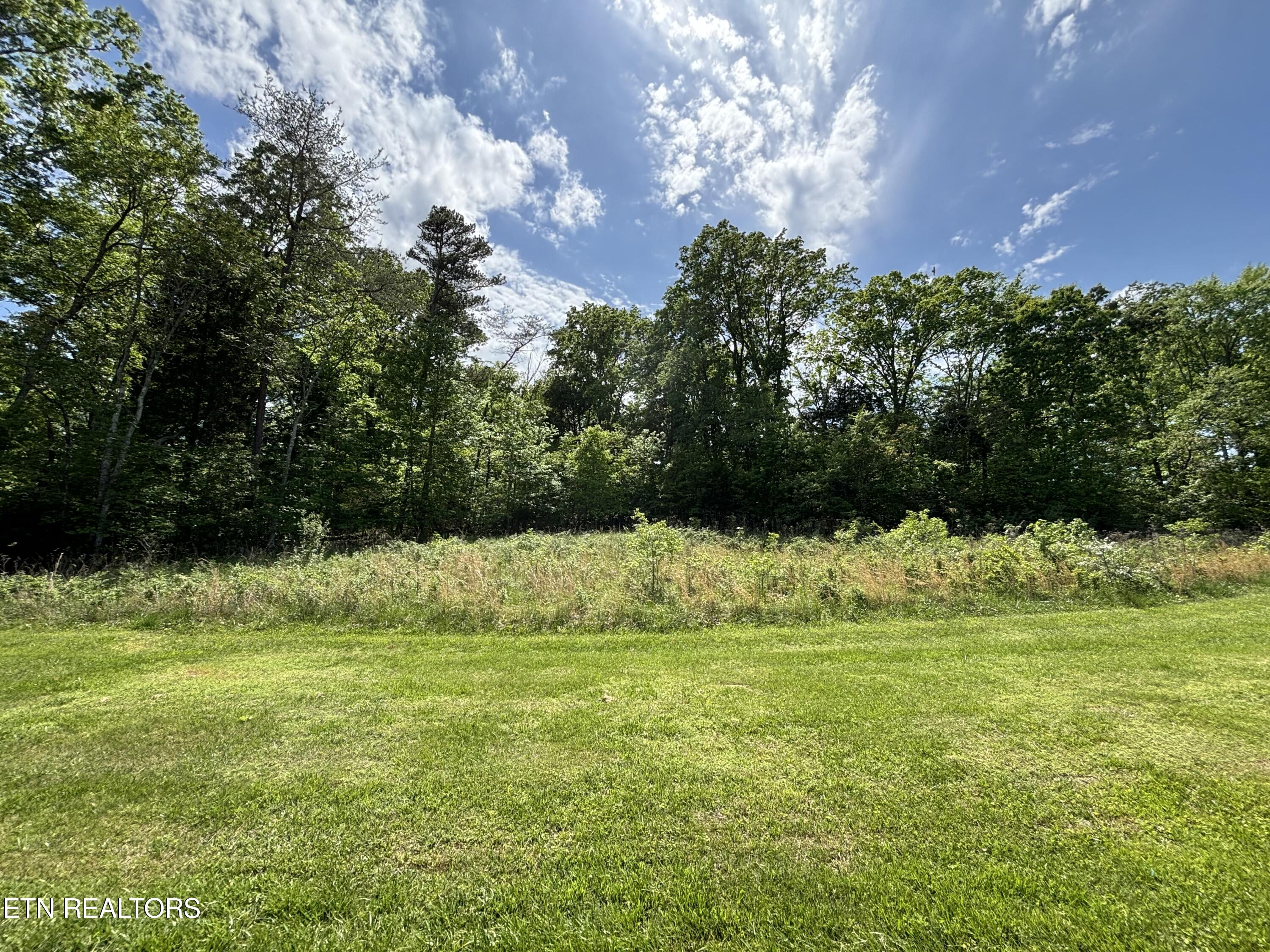 E Shore Drive Rockwood TN 37854