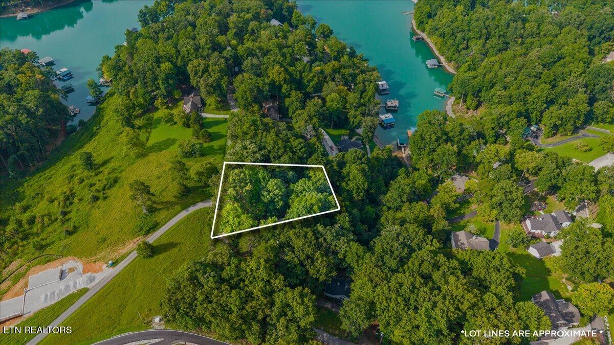 Lots 9&10 Big Pine Point Lafollette TN 37766